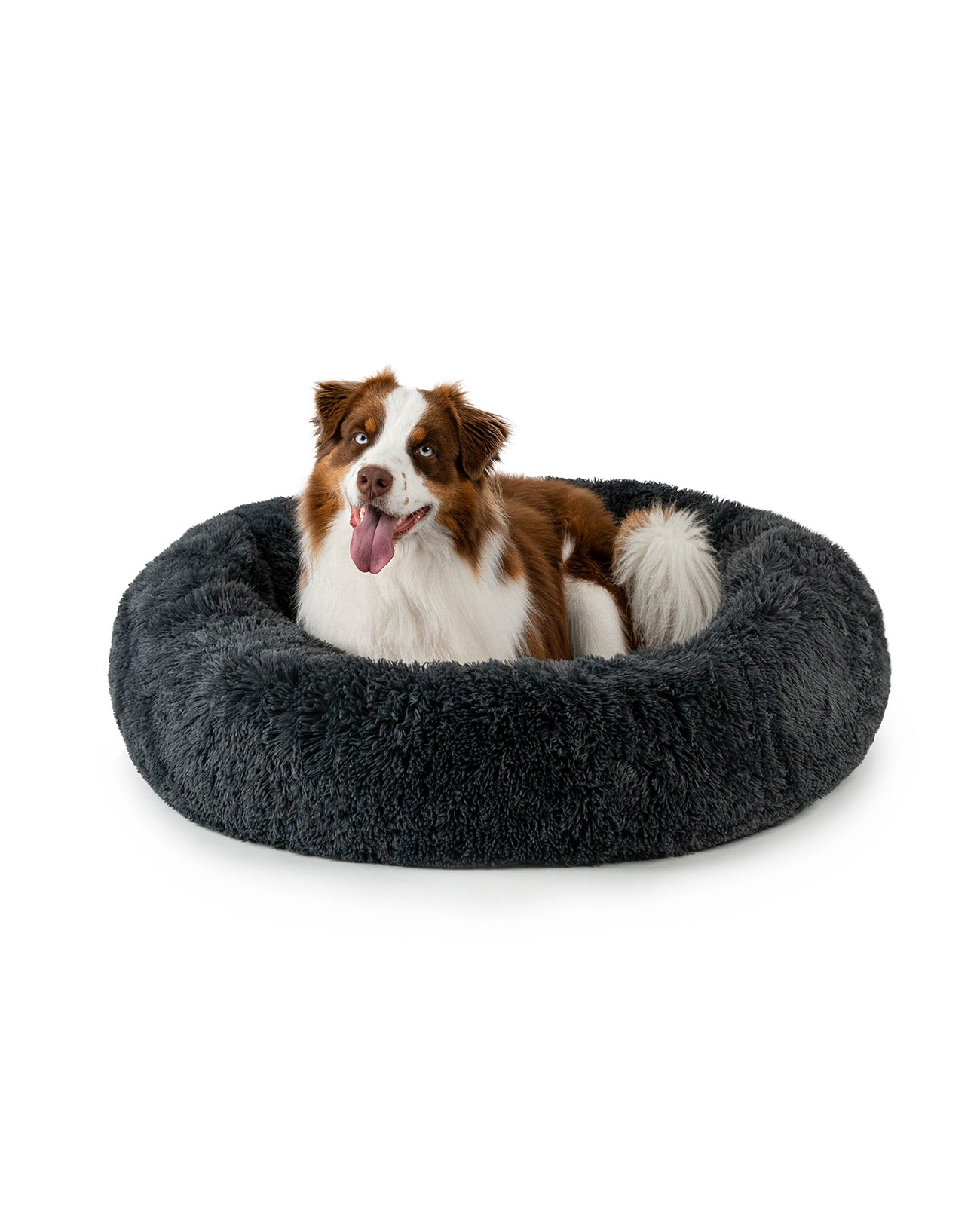 lionto Panier rond chien coussin chat panier donut choix de la taille et couleur