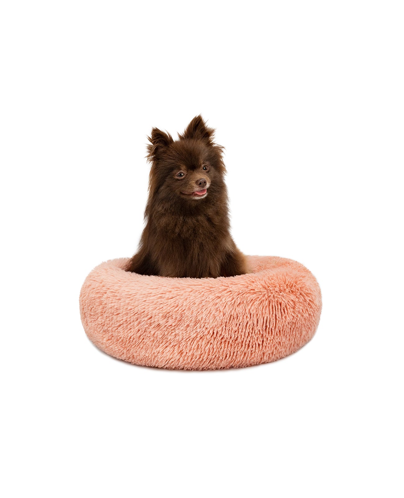 lionto Panier rond chien coussin chat panier donut choix de la taille et couleur