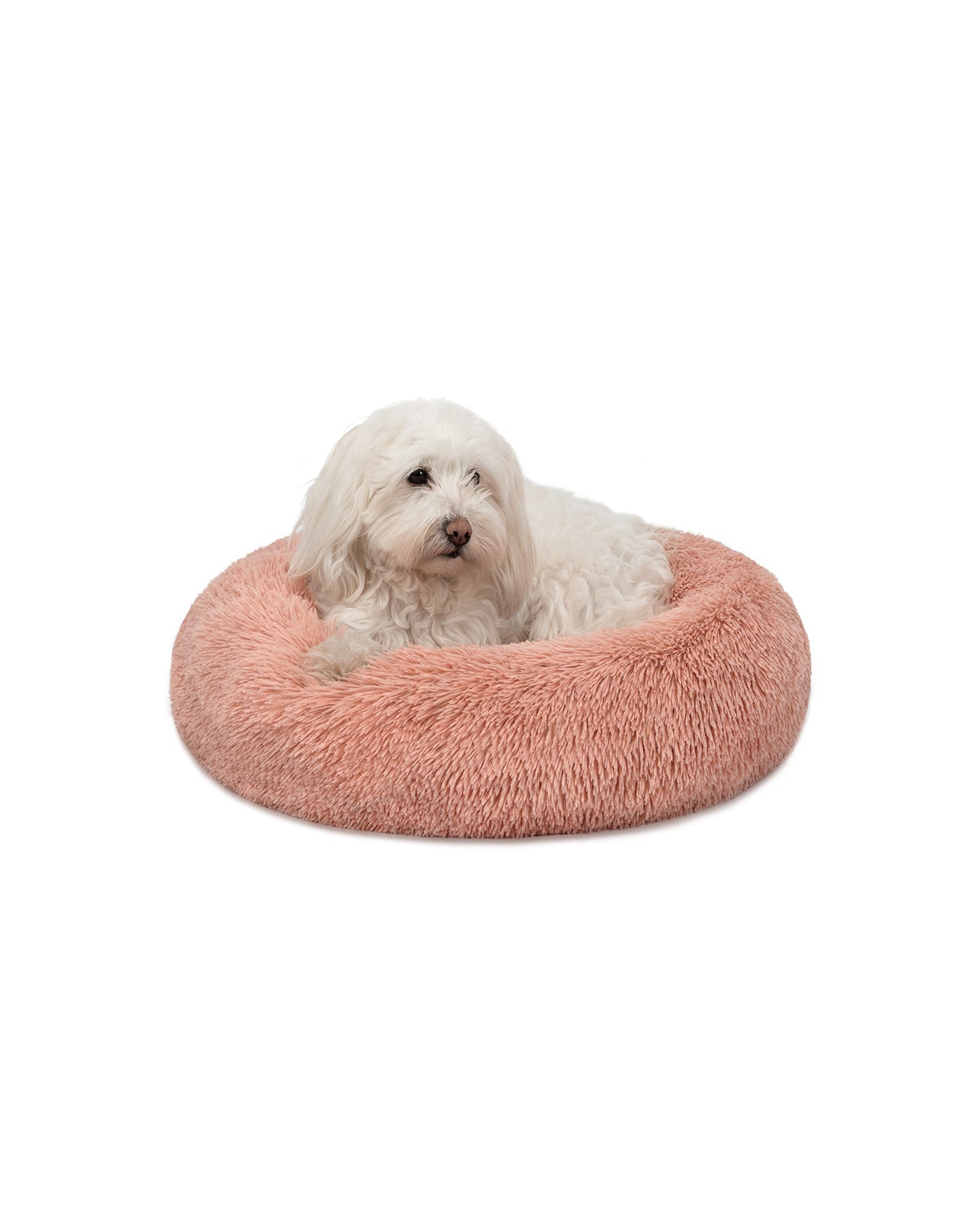 lionto Panier rond chien coussin chat panier donut choix de la taille et couleur