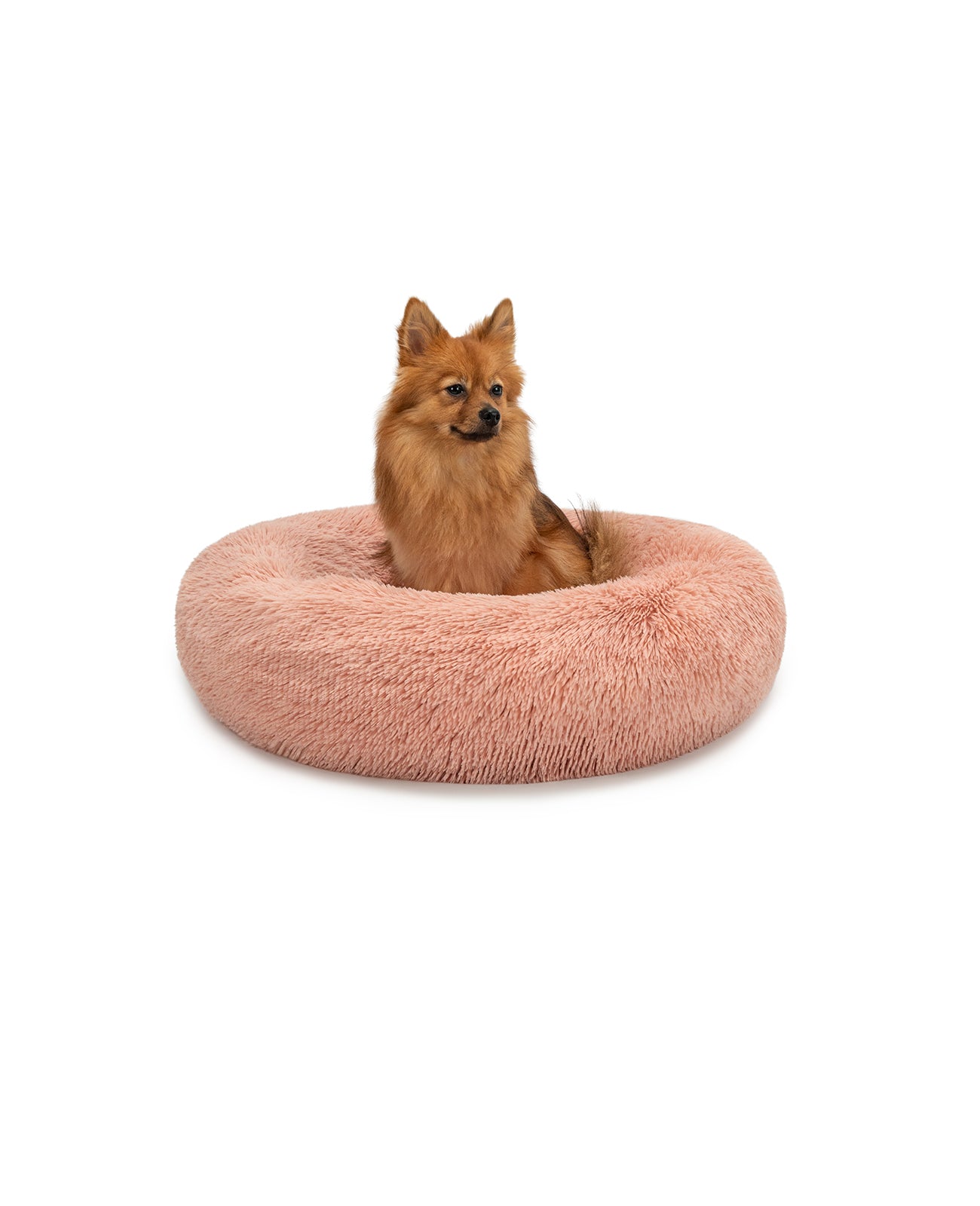 lionto Panier rond chien coussin chat panier donut choix de la taille et couleur