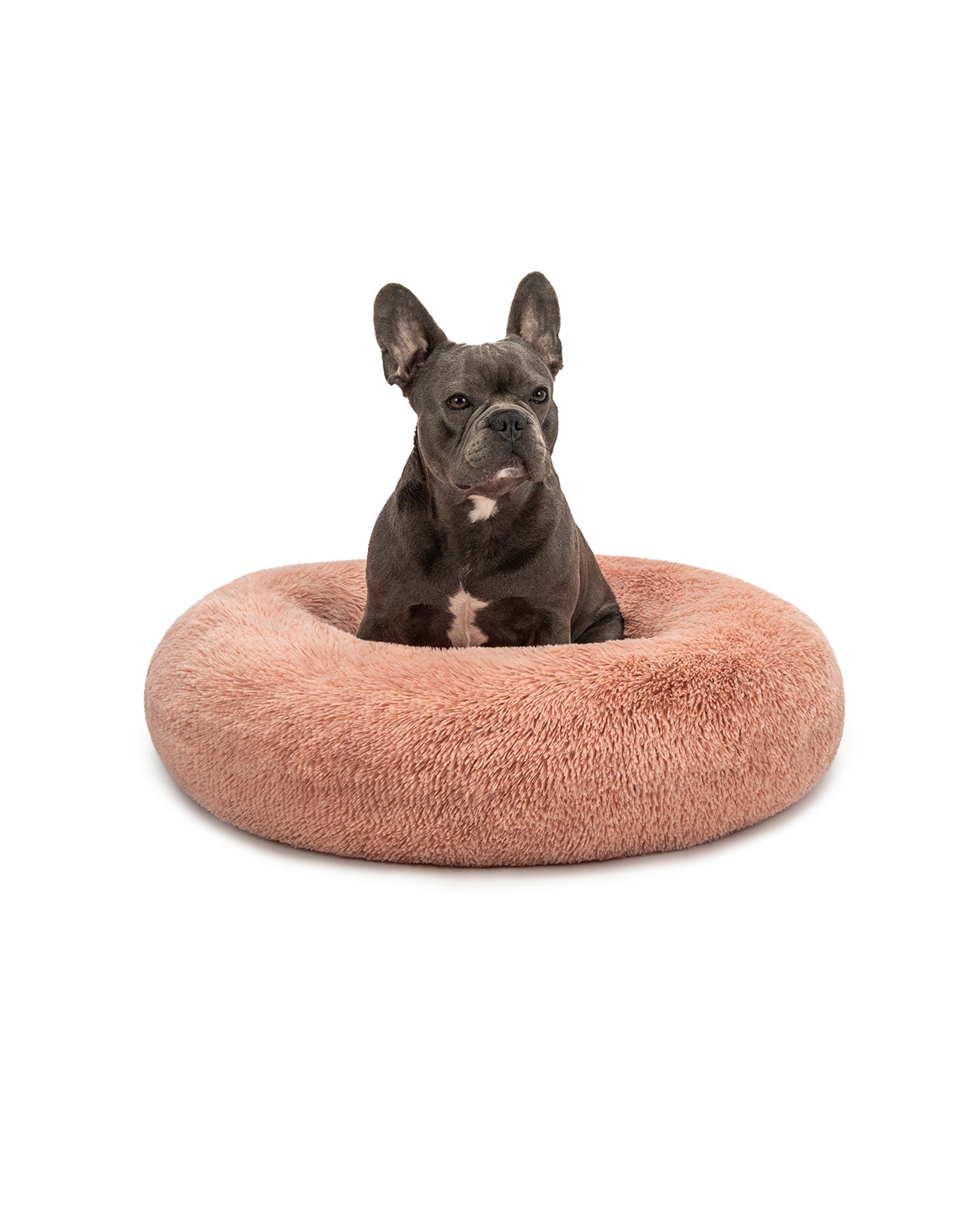 lionto Panier rond chien coussin chat panier donut choix de la taille et couleur