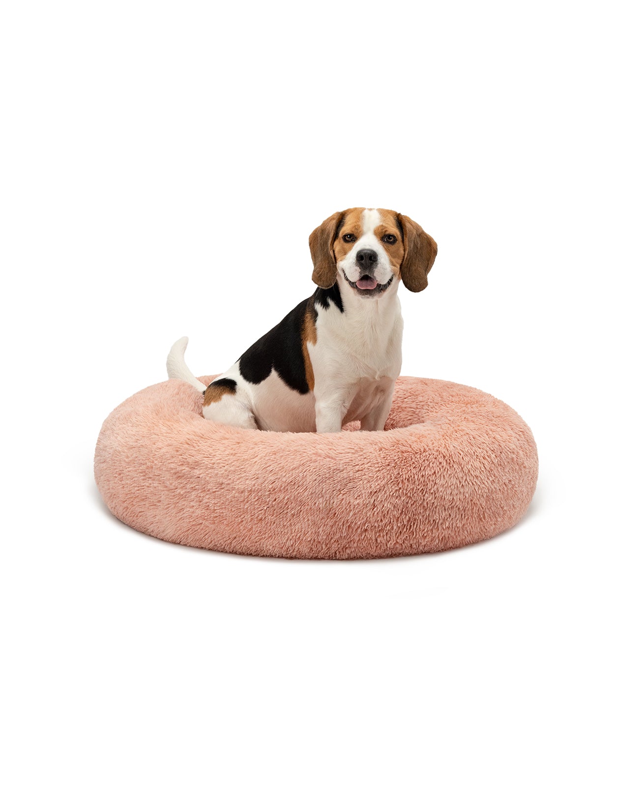 lionto Panier rond chien coussin chat panier donut choix de la taille et couleur