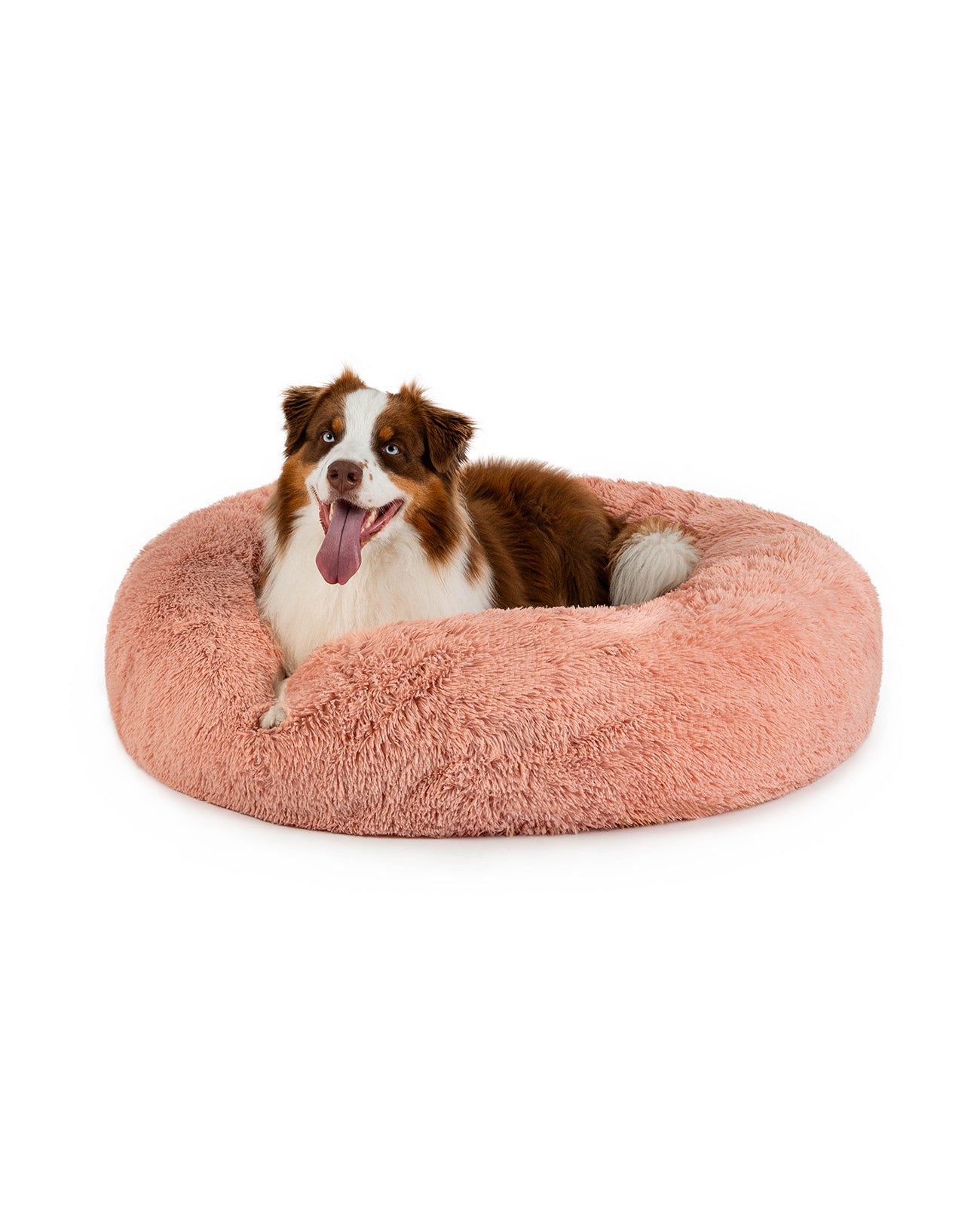 lionto Panier rond chien coussin chat panier donut choix de la taille et couleur