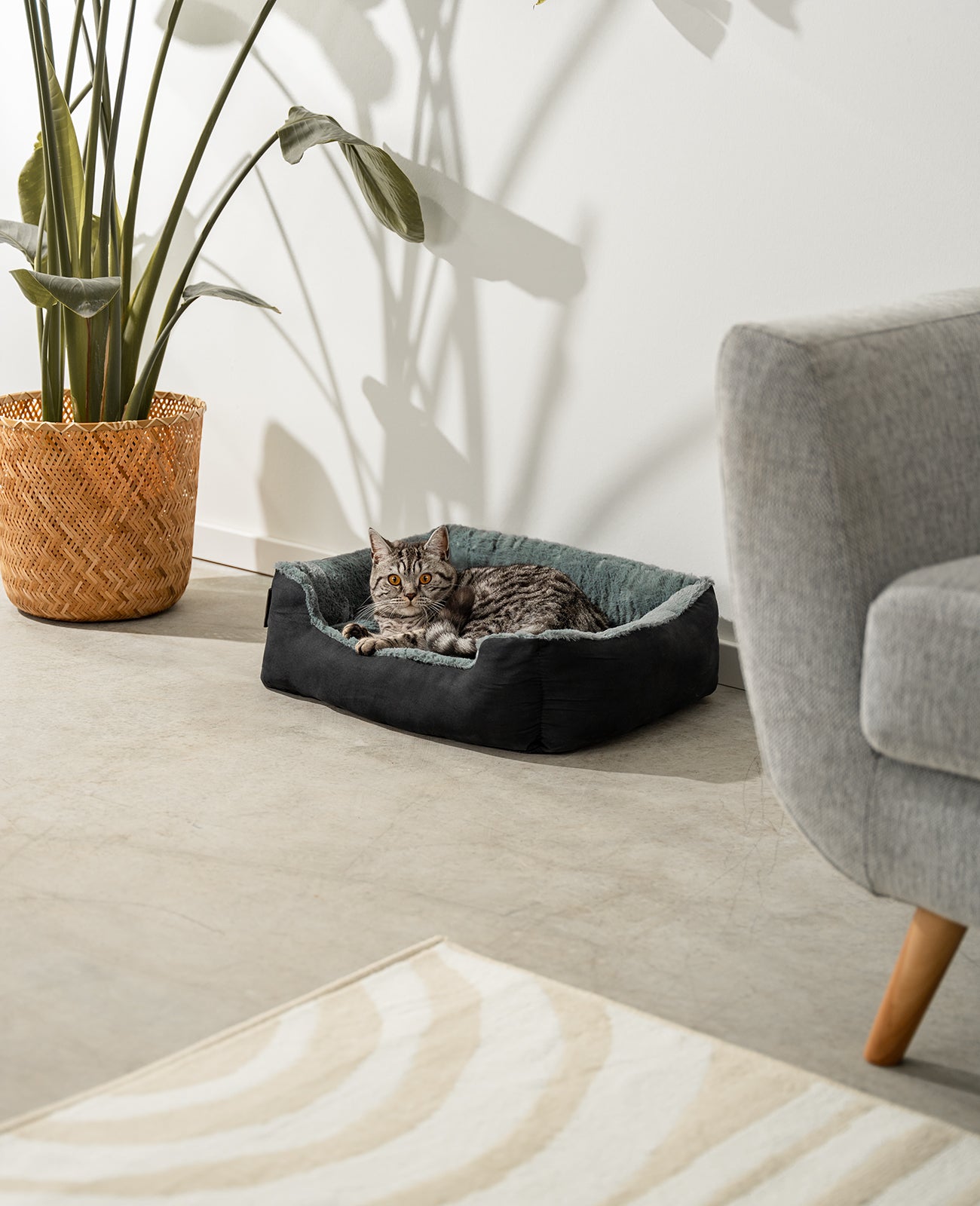 lionto Lit chien coussin chien panier chien avec coussin taille/couleur au choix