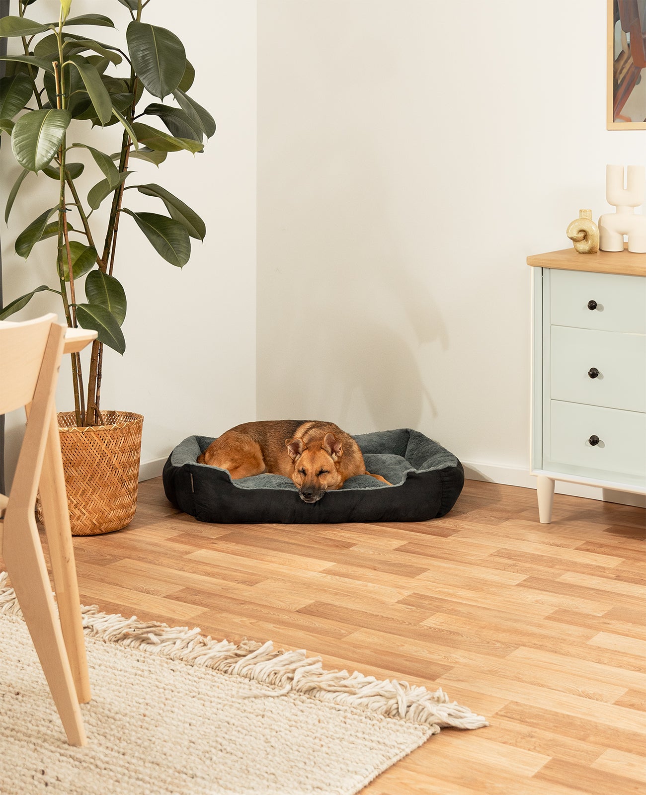 Lit pour chien avec coussin réversible