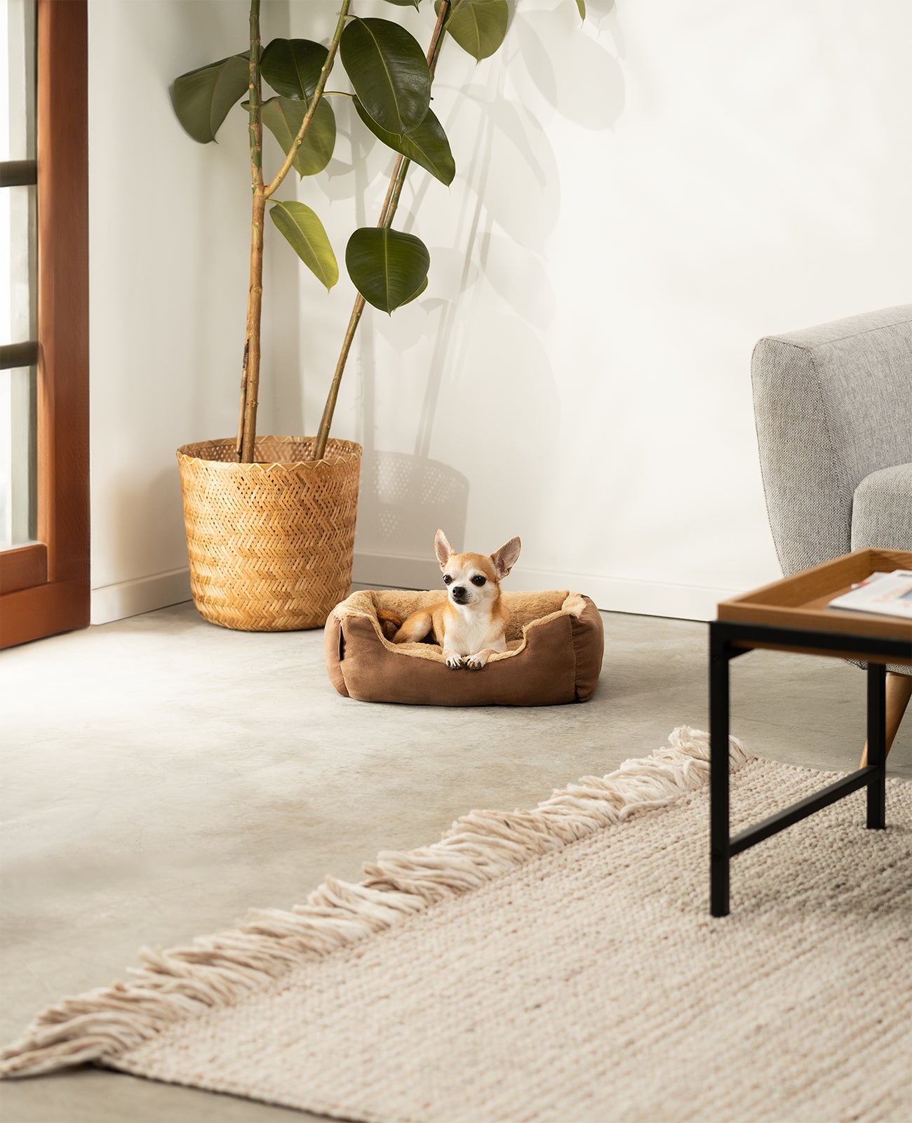 Lit pour chien avec coussin réversible