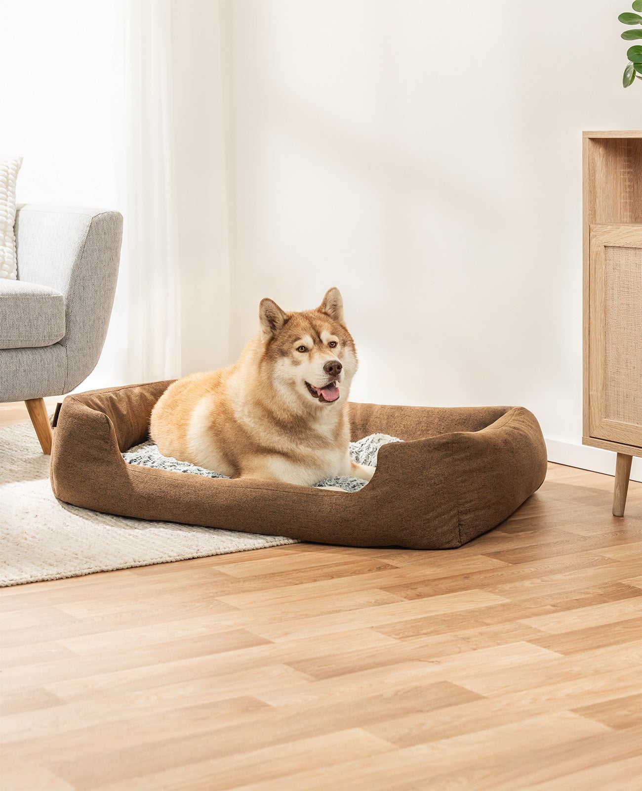 Lit pour chien avec coussin réversible