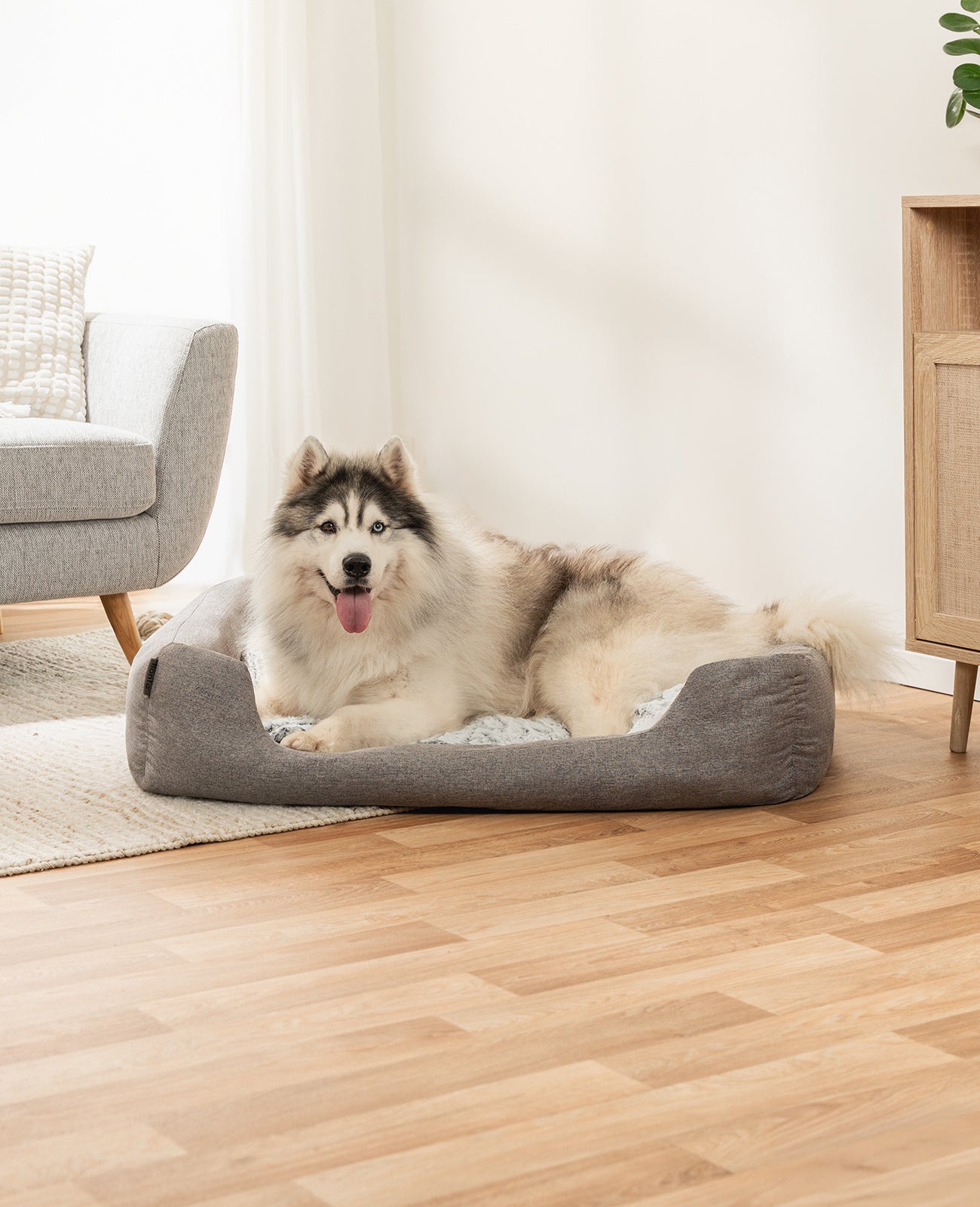 Lit pour chien avec coussin réversible