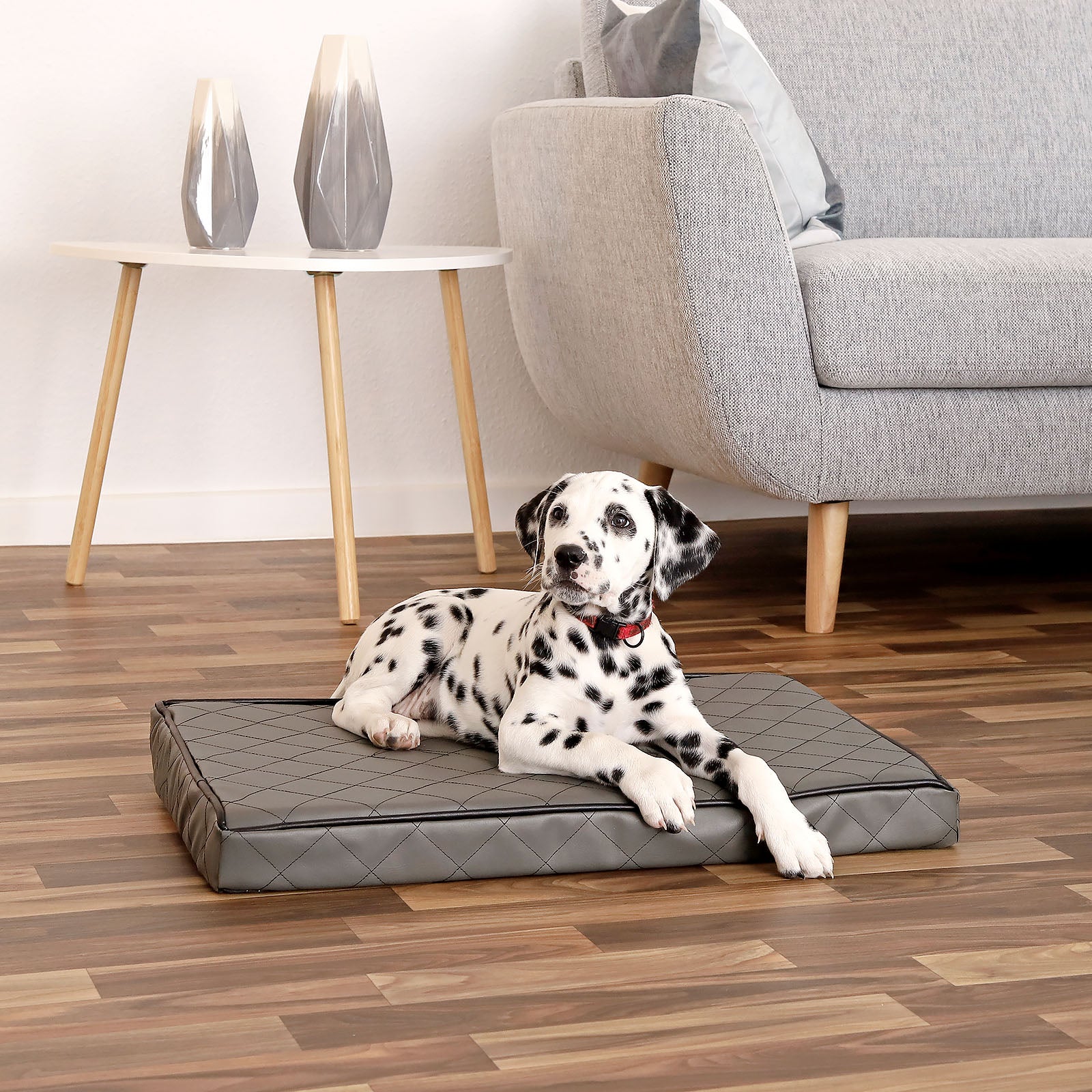 Tapis orthopédique pour chien