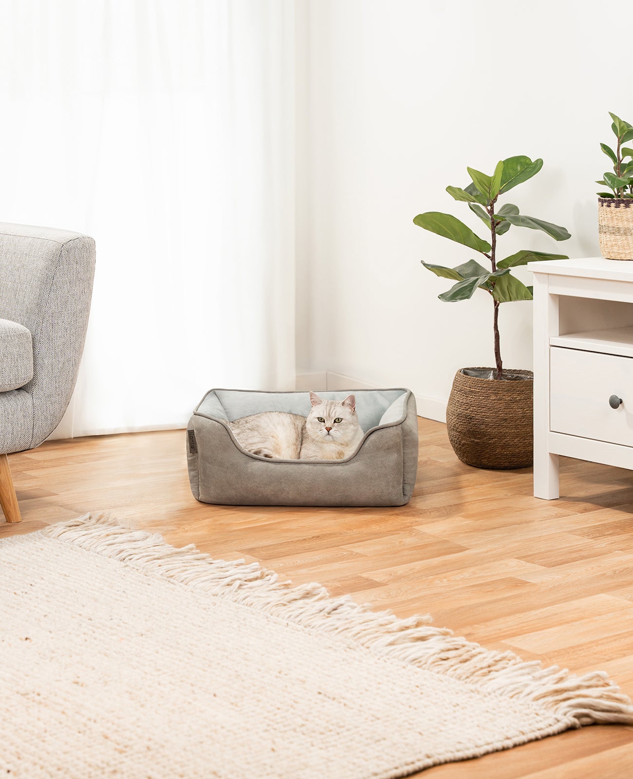 lionto Panier chat 2-en-1 lit chat coussin réversible diff.  tailles et couleurs