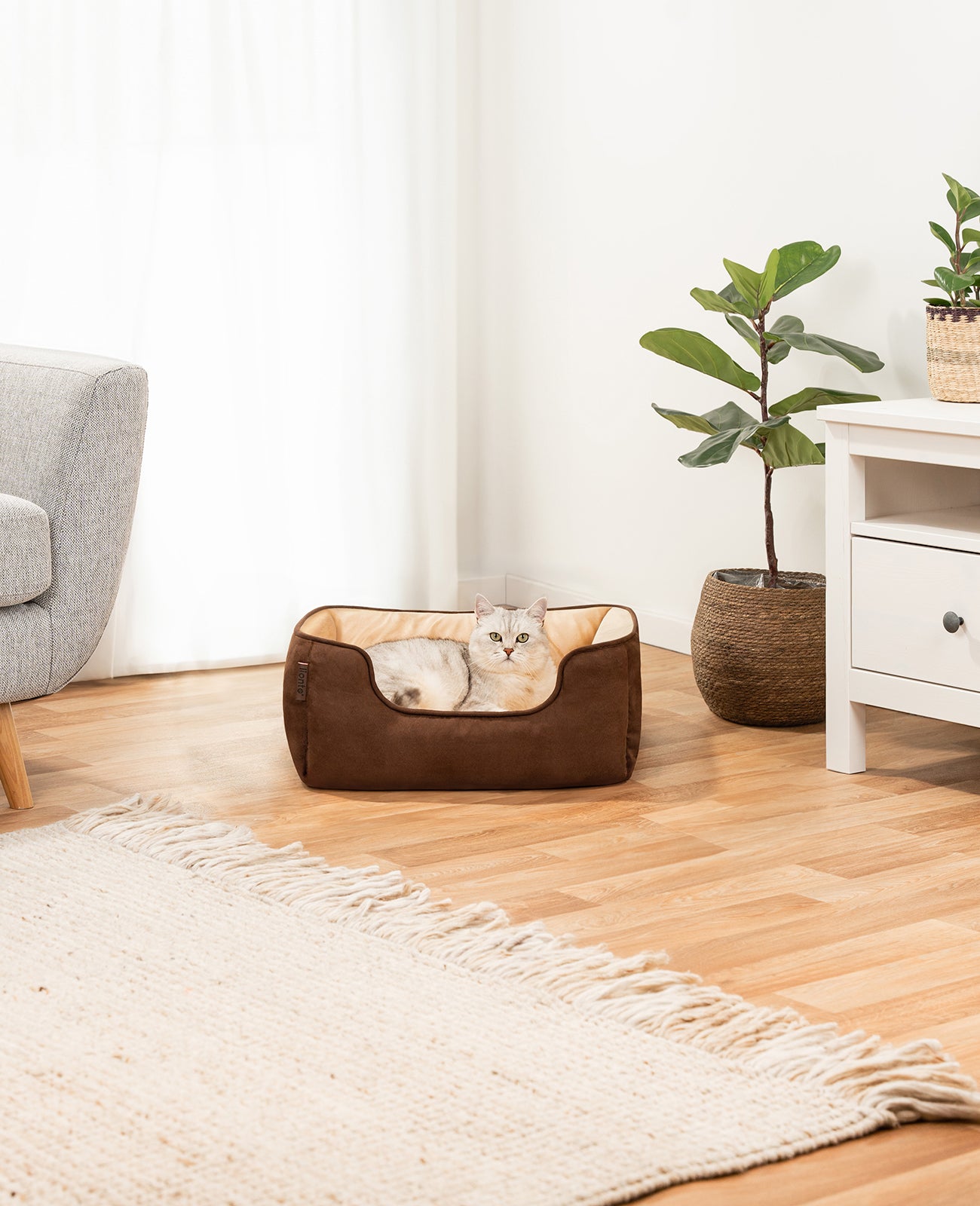 lionto Panier chat 2-en-1 lit chat coussin réversible diff.  tailles et couleurs