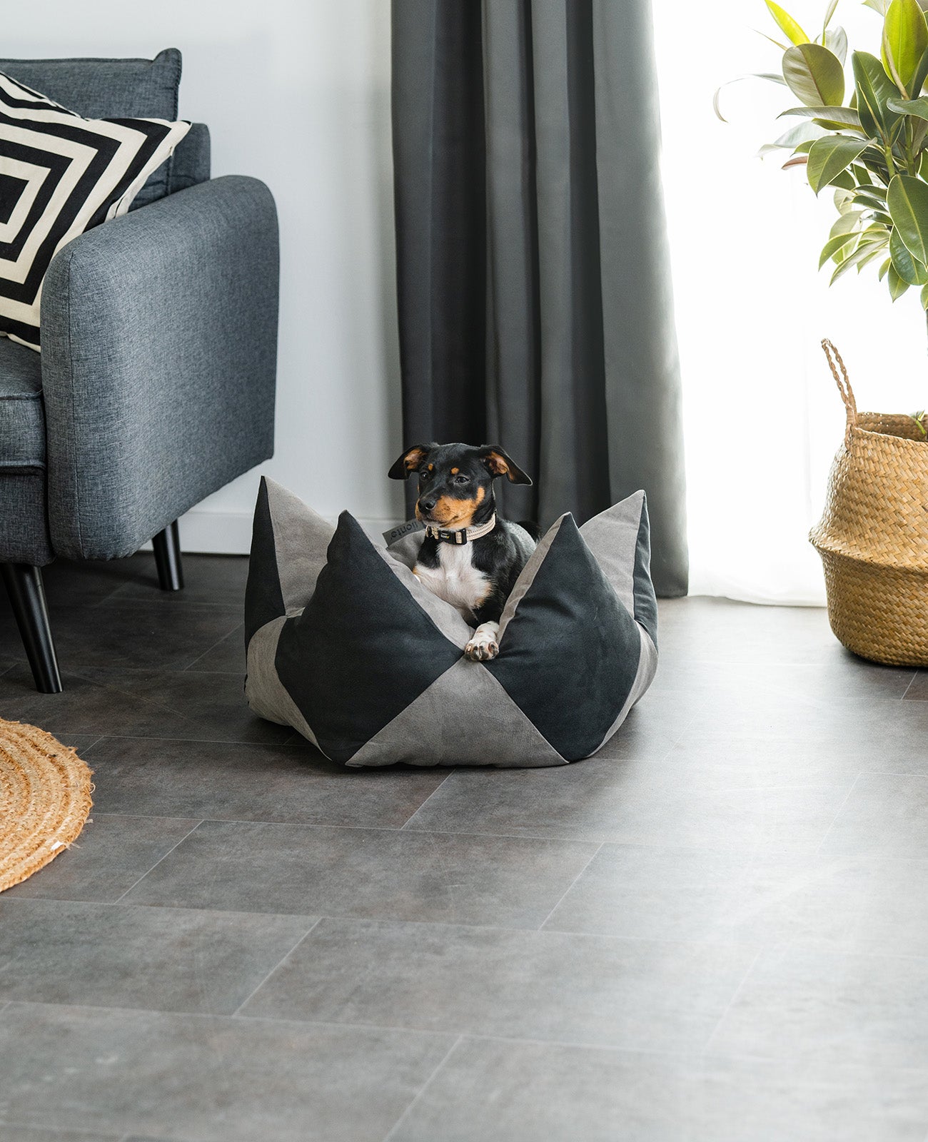 Oreiller couronne pour chiens