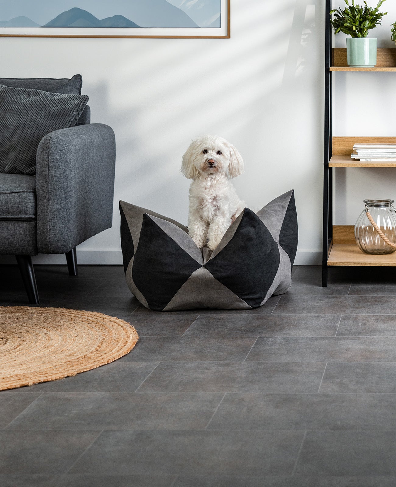 lionto Coussin Crown Coussin Star Lit pour chien, différentes versions
