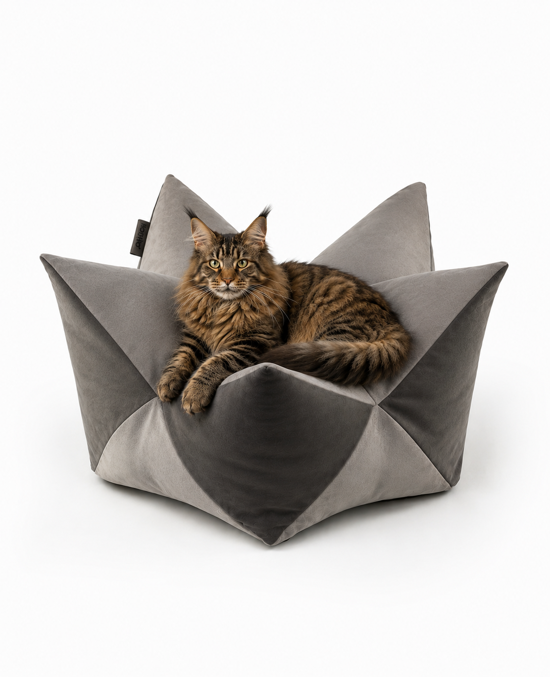lionto Coussin Crown Coussin Star Lit pour chien, différentes versions