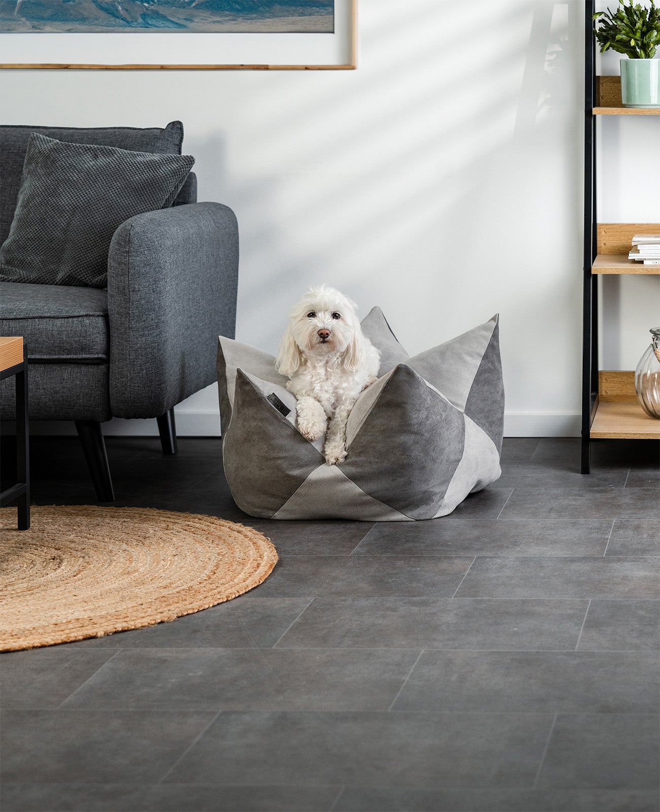 lionto Coussin Crown Coussin Star Lit pour chien, différentes versions