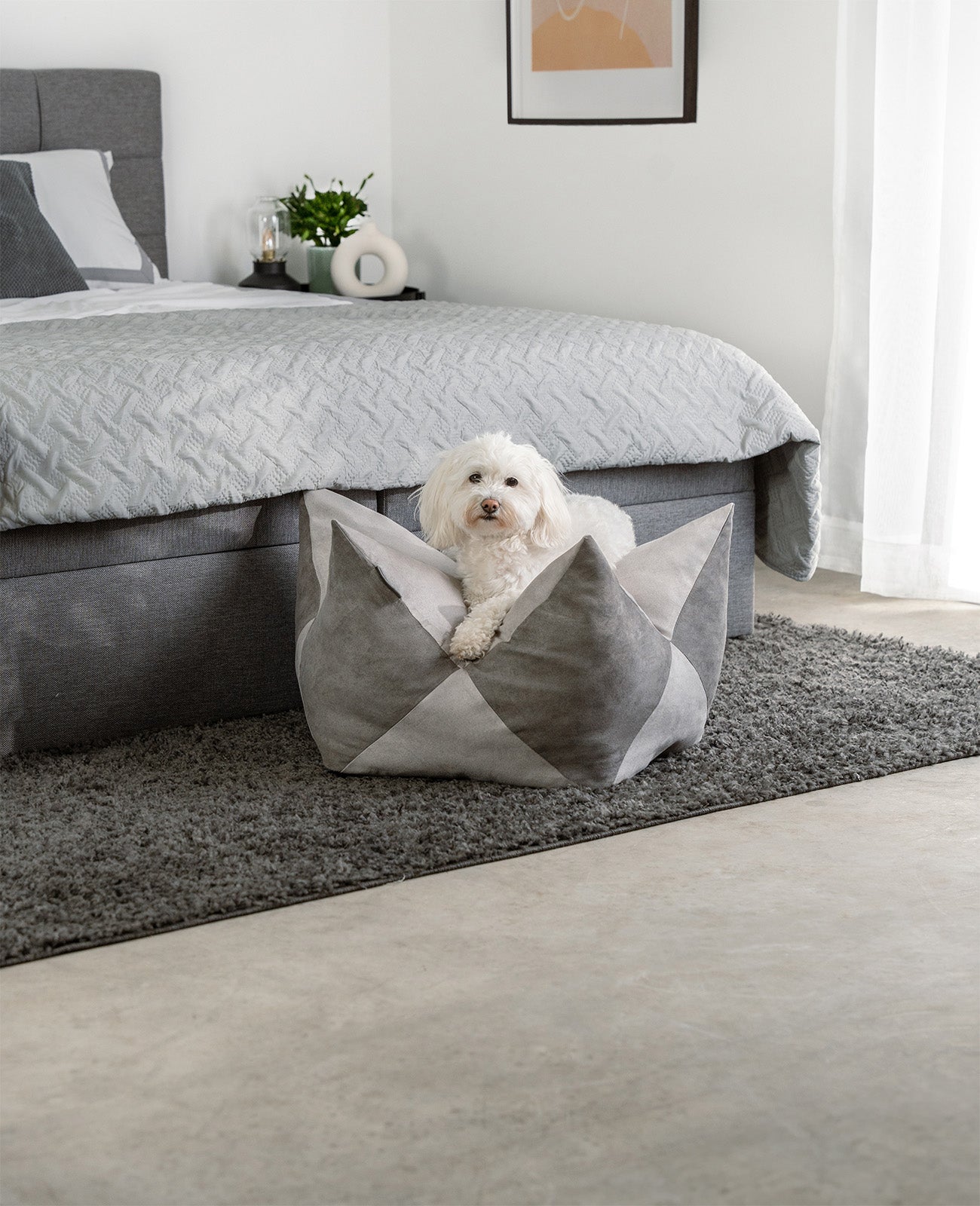 lionto Coussin Crown Coussin Star Lit pour chien, différentes versions