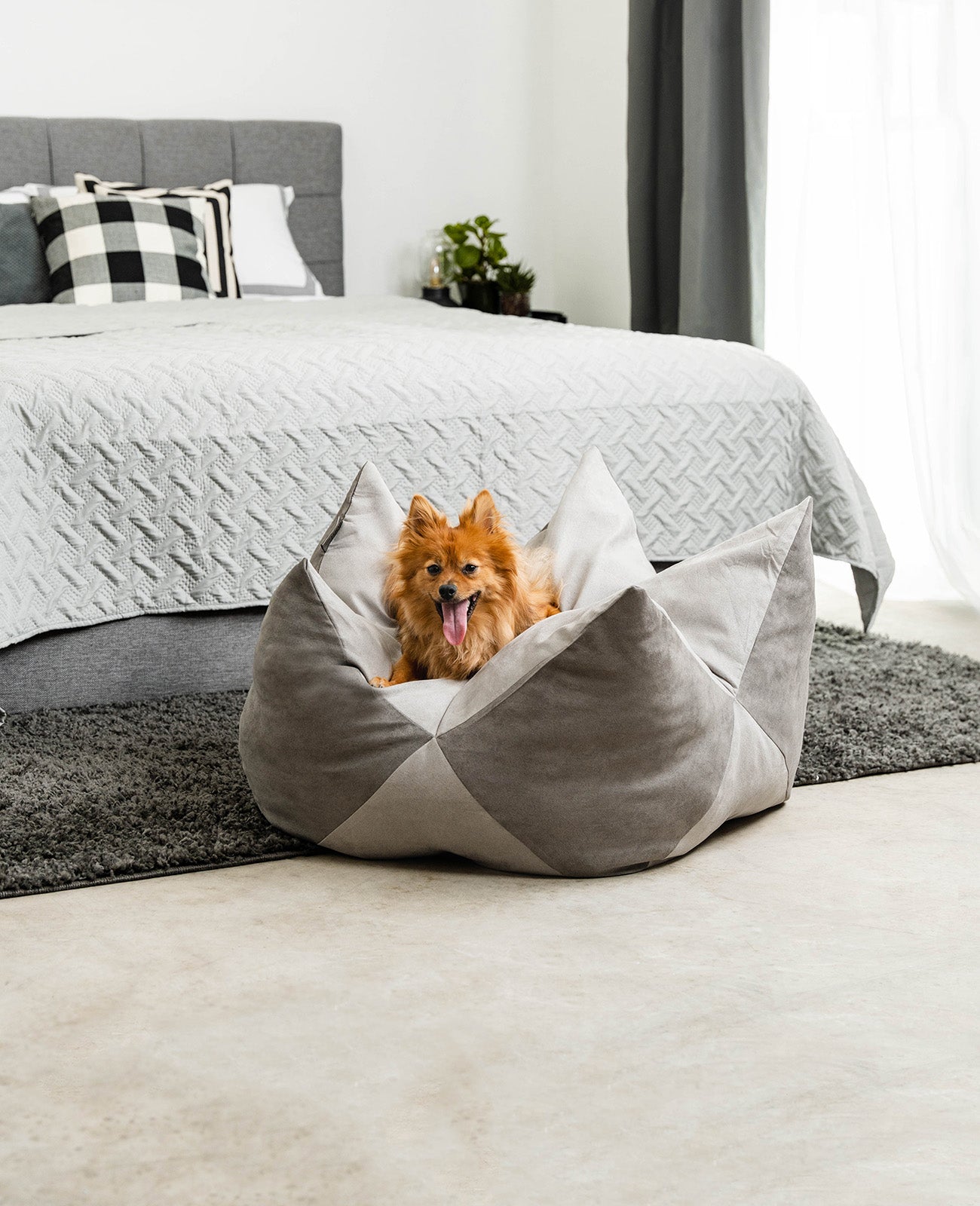 Oreiller couronne pour chiens