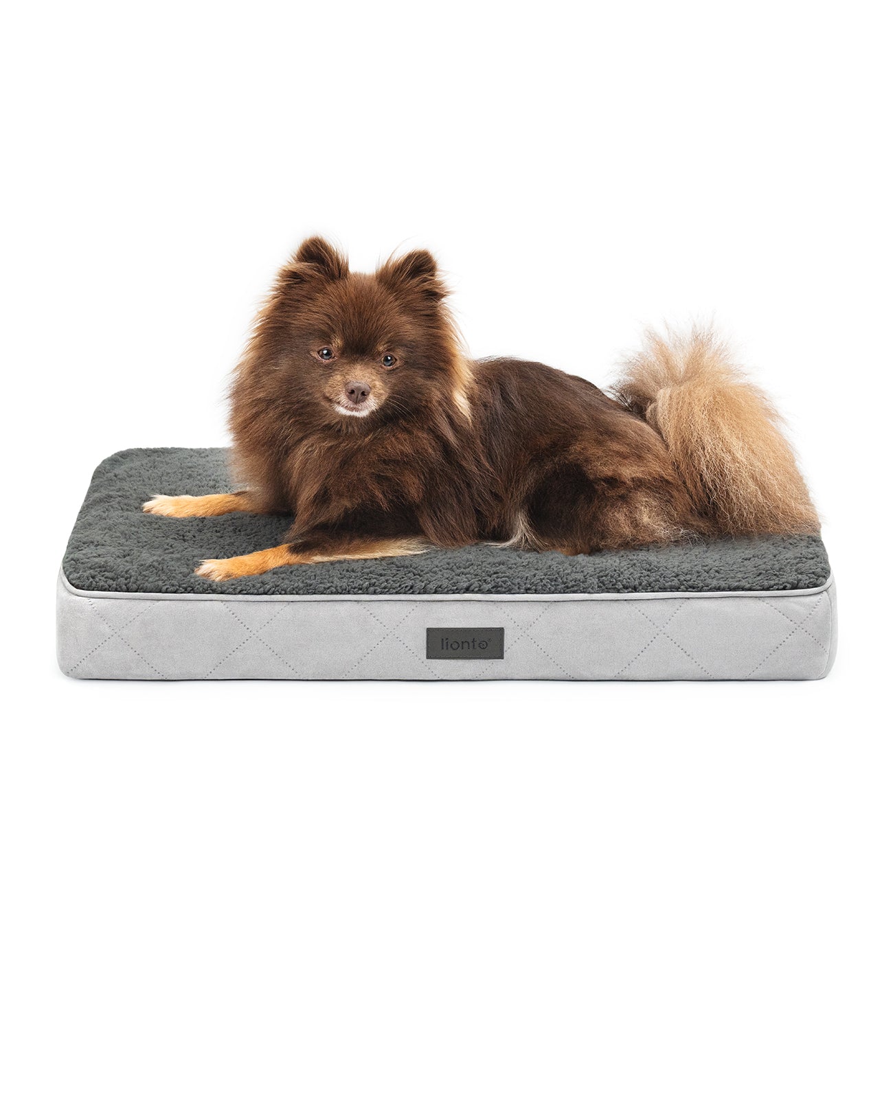 lionto Lit orthopédique pour chien & chats, avec peluche douce, divers modèles