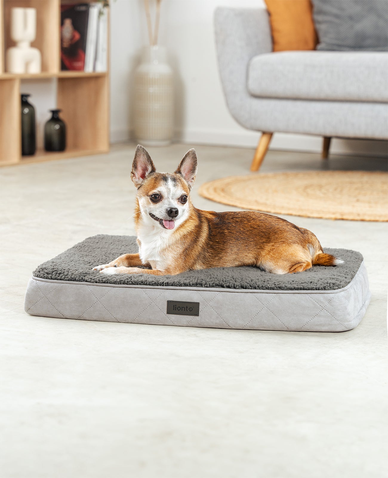 Lit orthopédique pour chien avec peluche