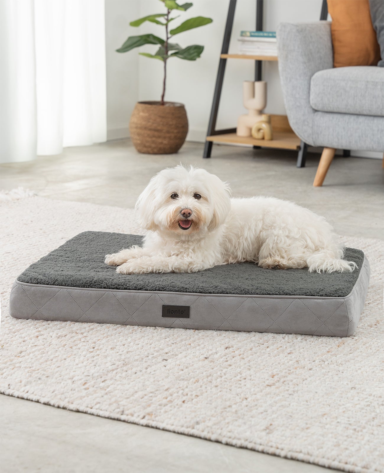 Lit orthopédique pour chien avec peluche