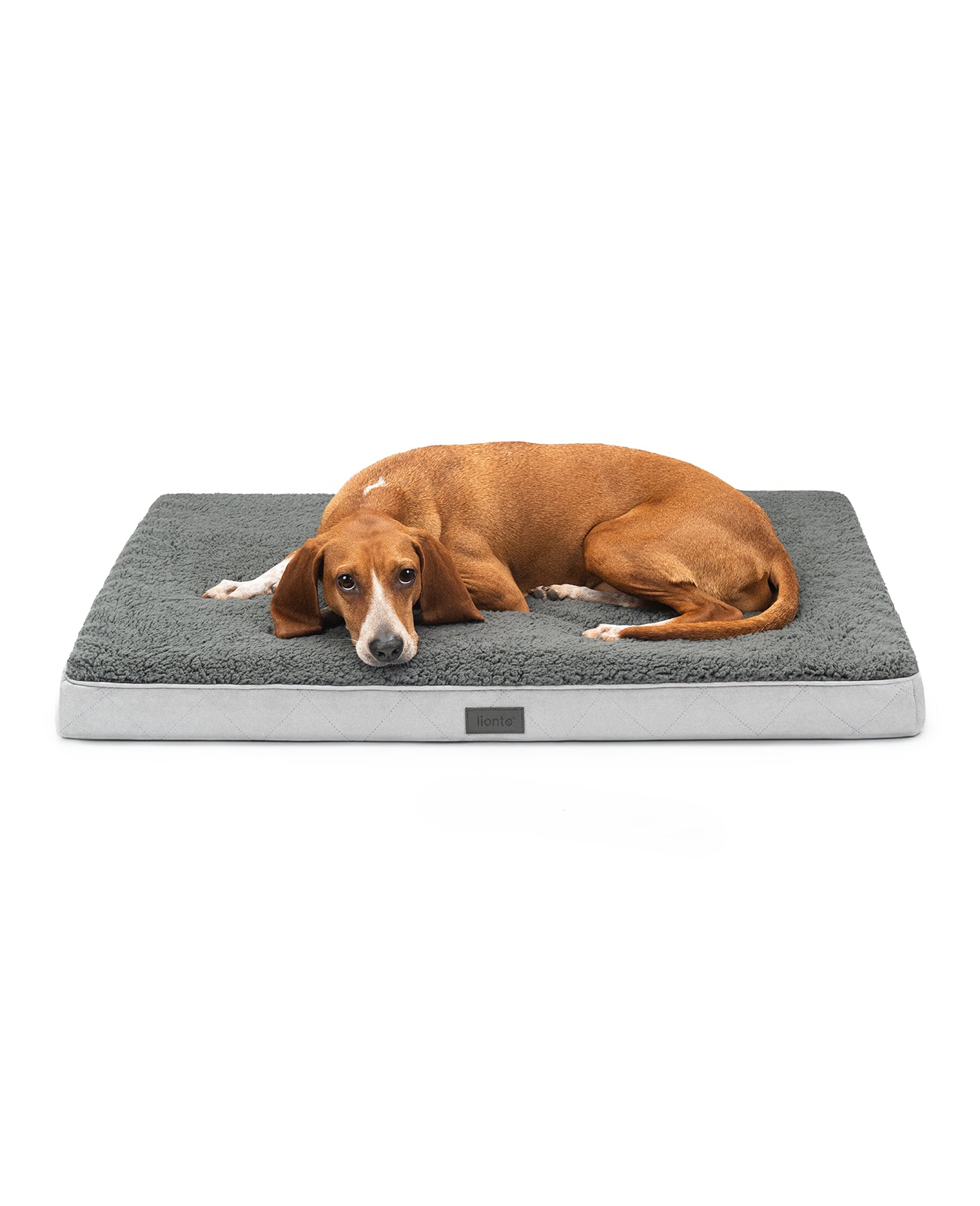 lionto Lit orthopédique pour chien & chats, avec peluche douce, divers modèles