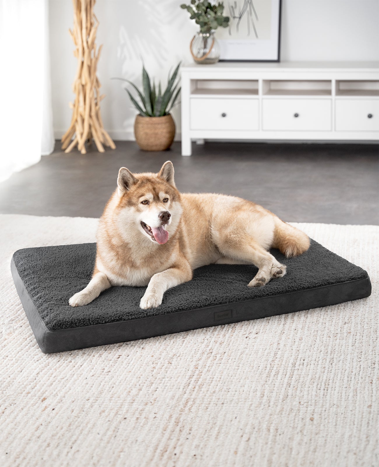 Lit orthopédique pour chien avec peluche