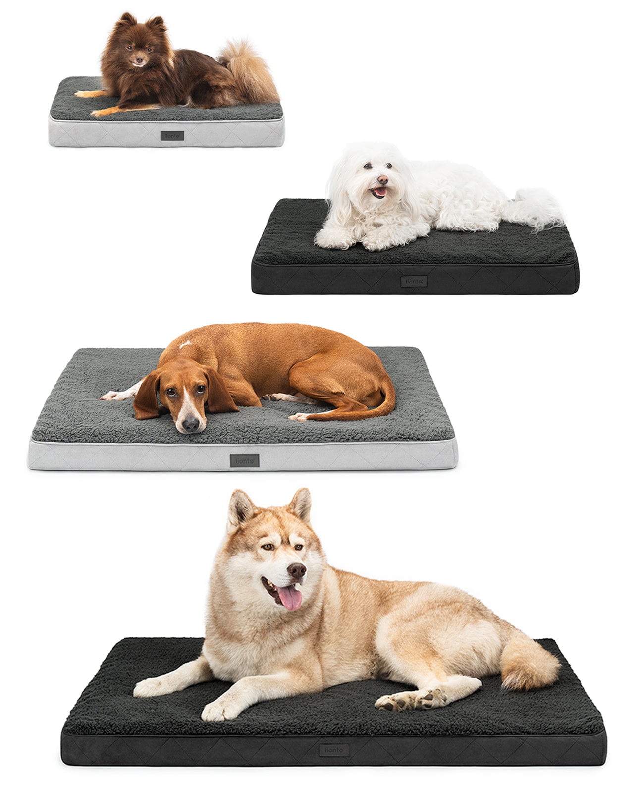 lionto Lit orthopédique pour chien & chats, avec peluche douce, divers modèles