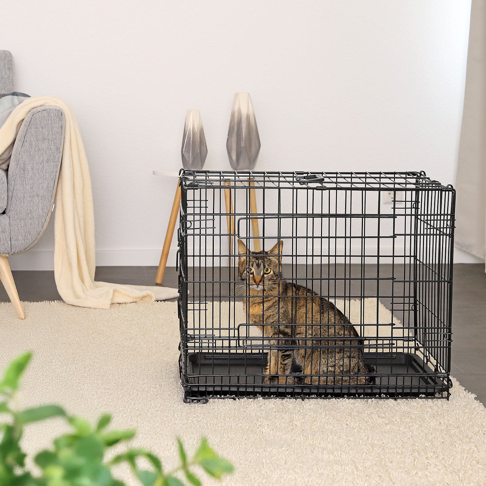 Cage de transport pour chat avec plateau de base