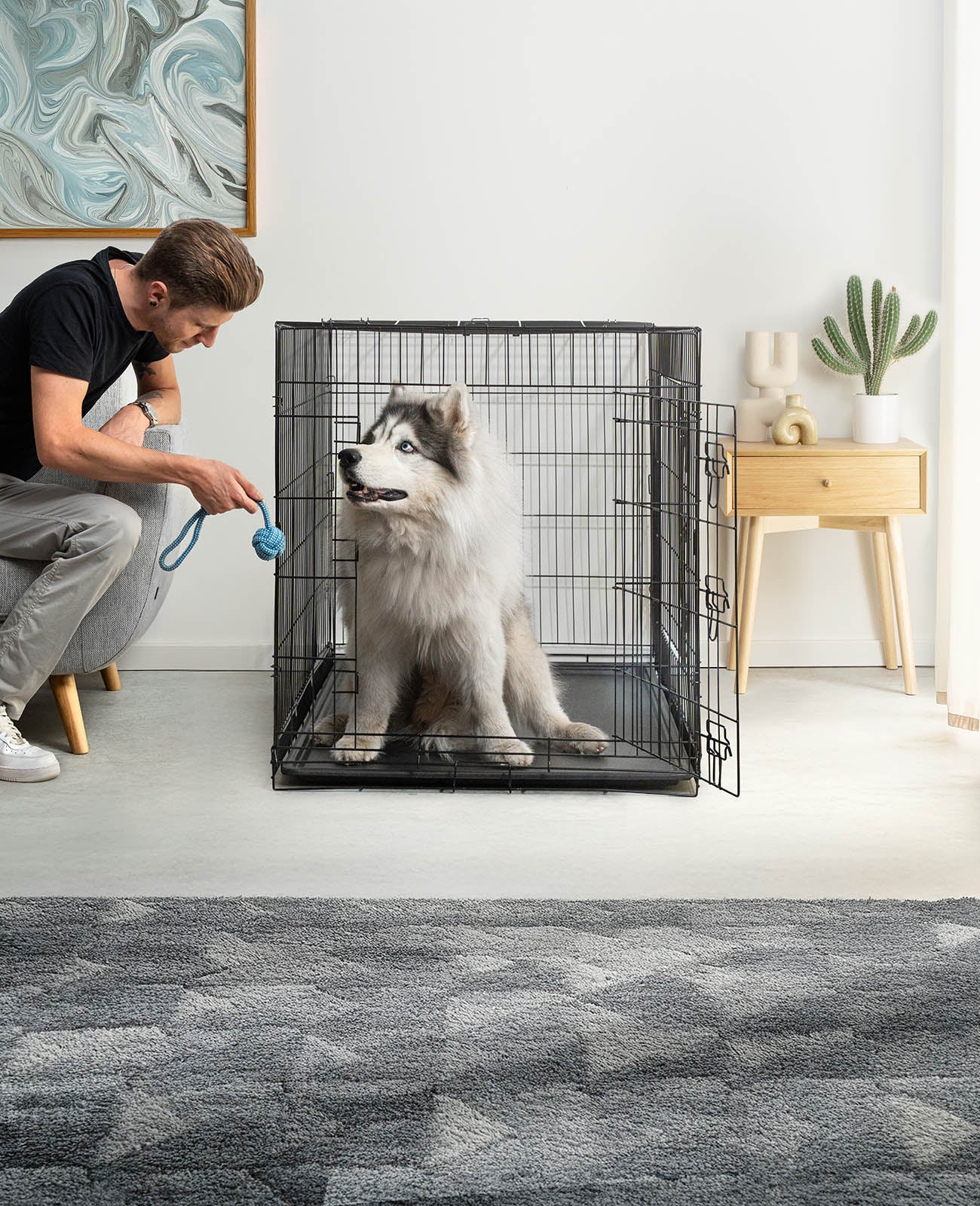 Cage de transport pour chien avec plateau de base