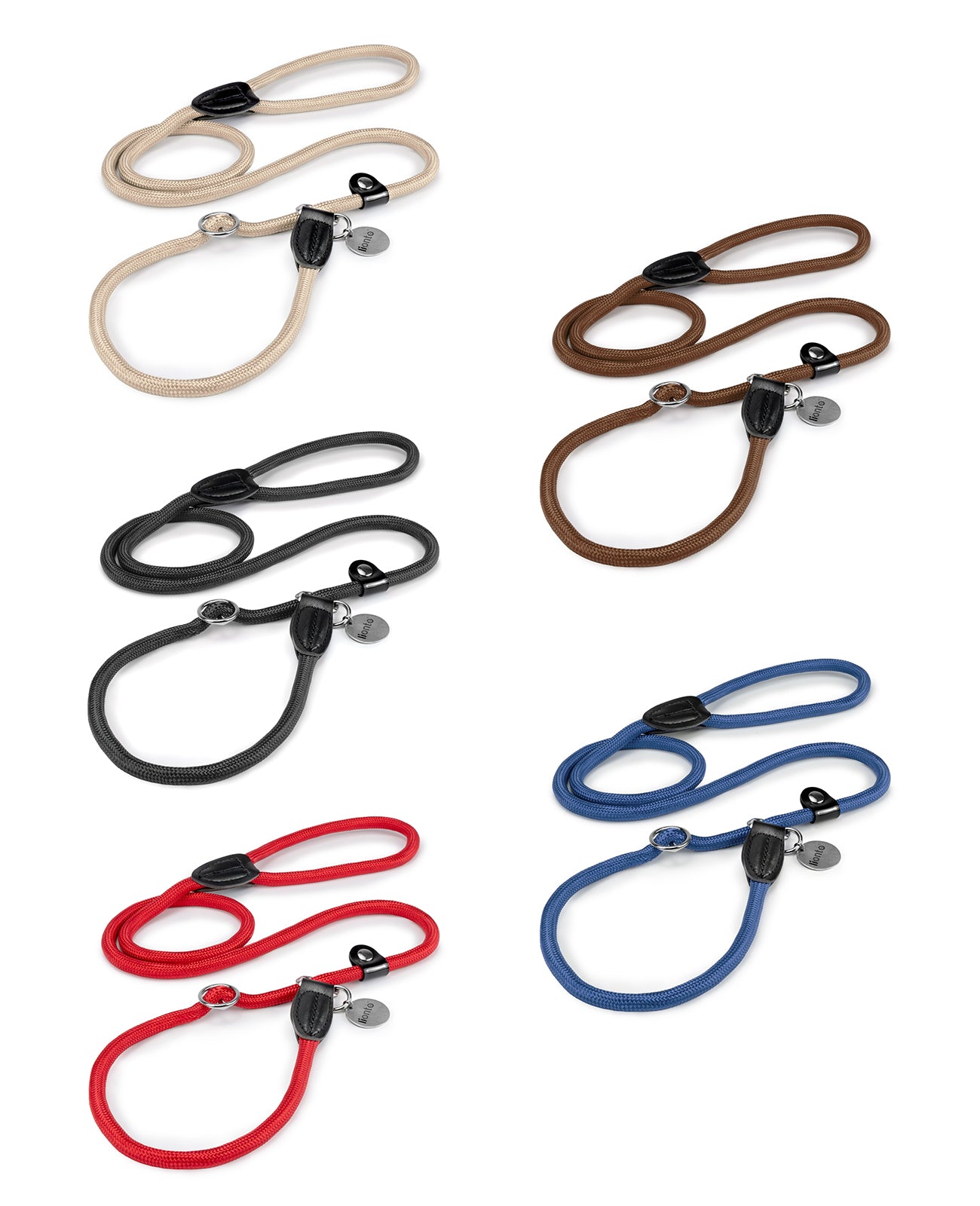 Laisse pour chien avec arrêt de traction