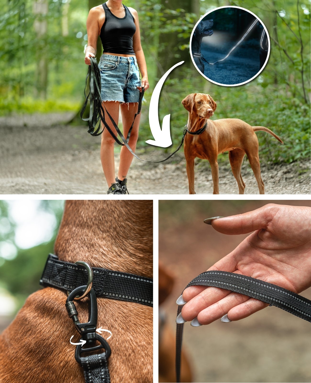 lionto Laisse à pister de chien, réflective, 360° carabinier en métal, 4 tailles