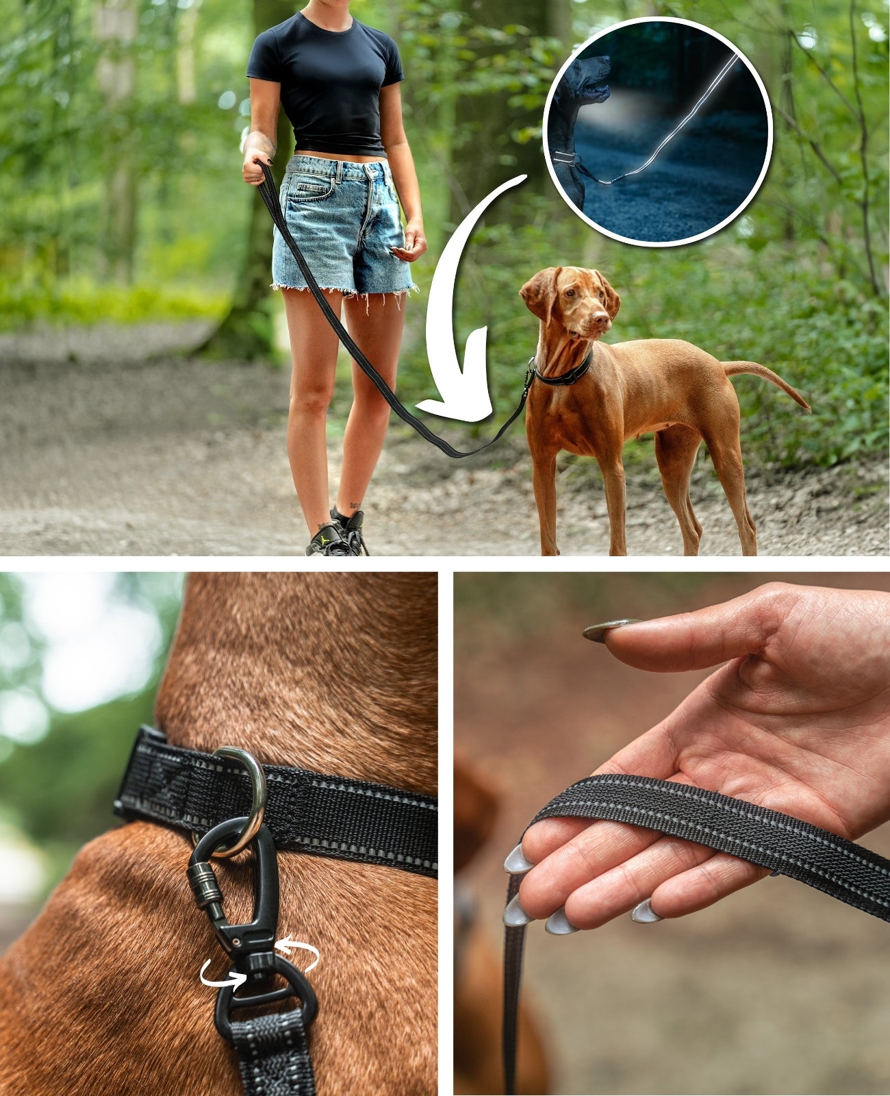 lionto Laisse pour chiens, réflective, 360° mousqueton métallique, 2 longueur
