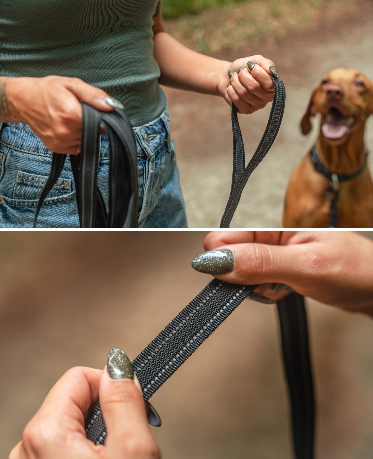 lionto Laisse à pister de chien, réflective, 360° carabinier en métal, 4 tailles