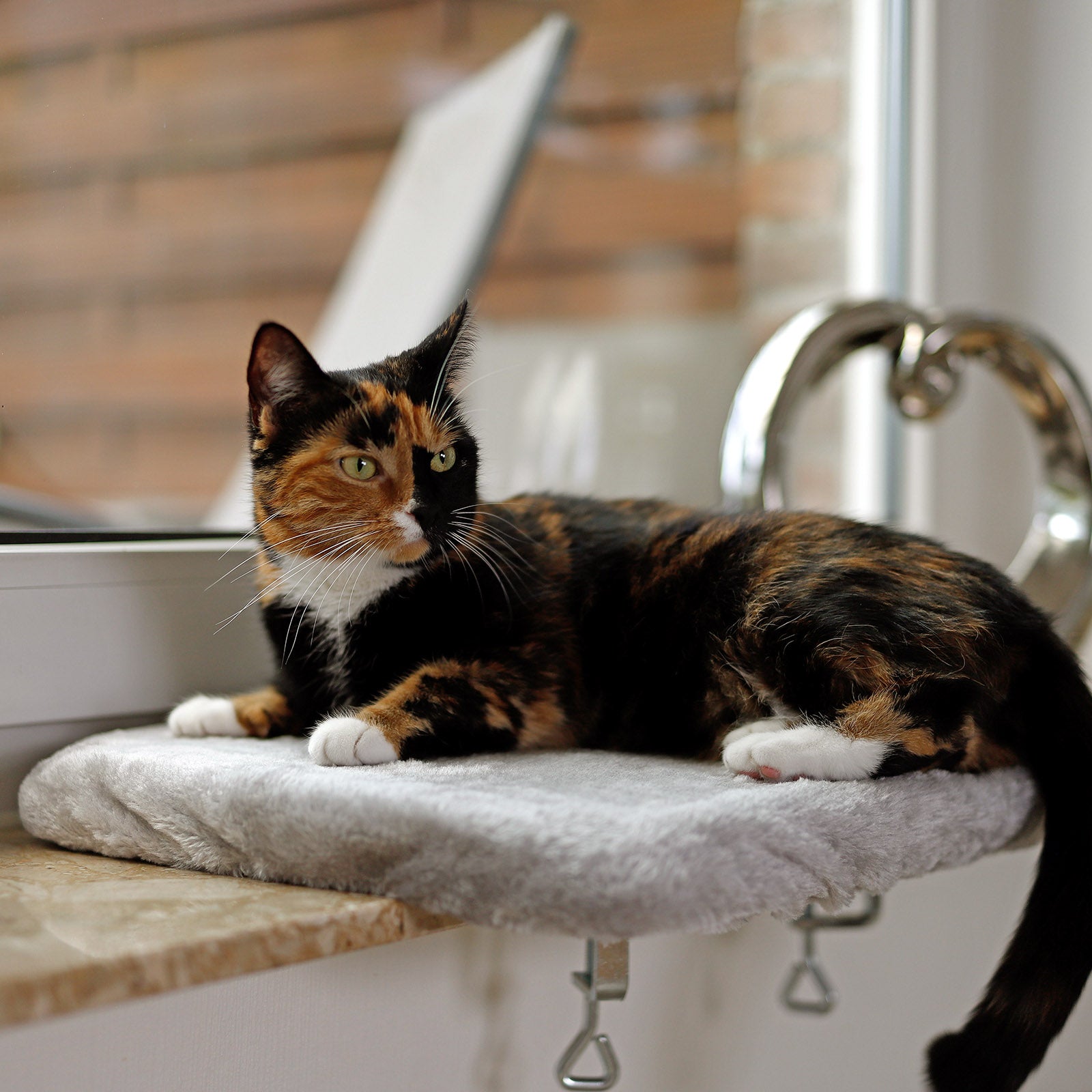 lionto Planche de repos pour rebord fenêtre couchette fenêtre chats couleurs diverses
