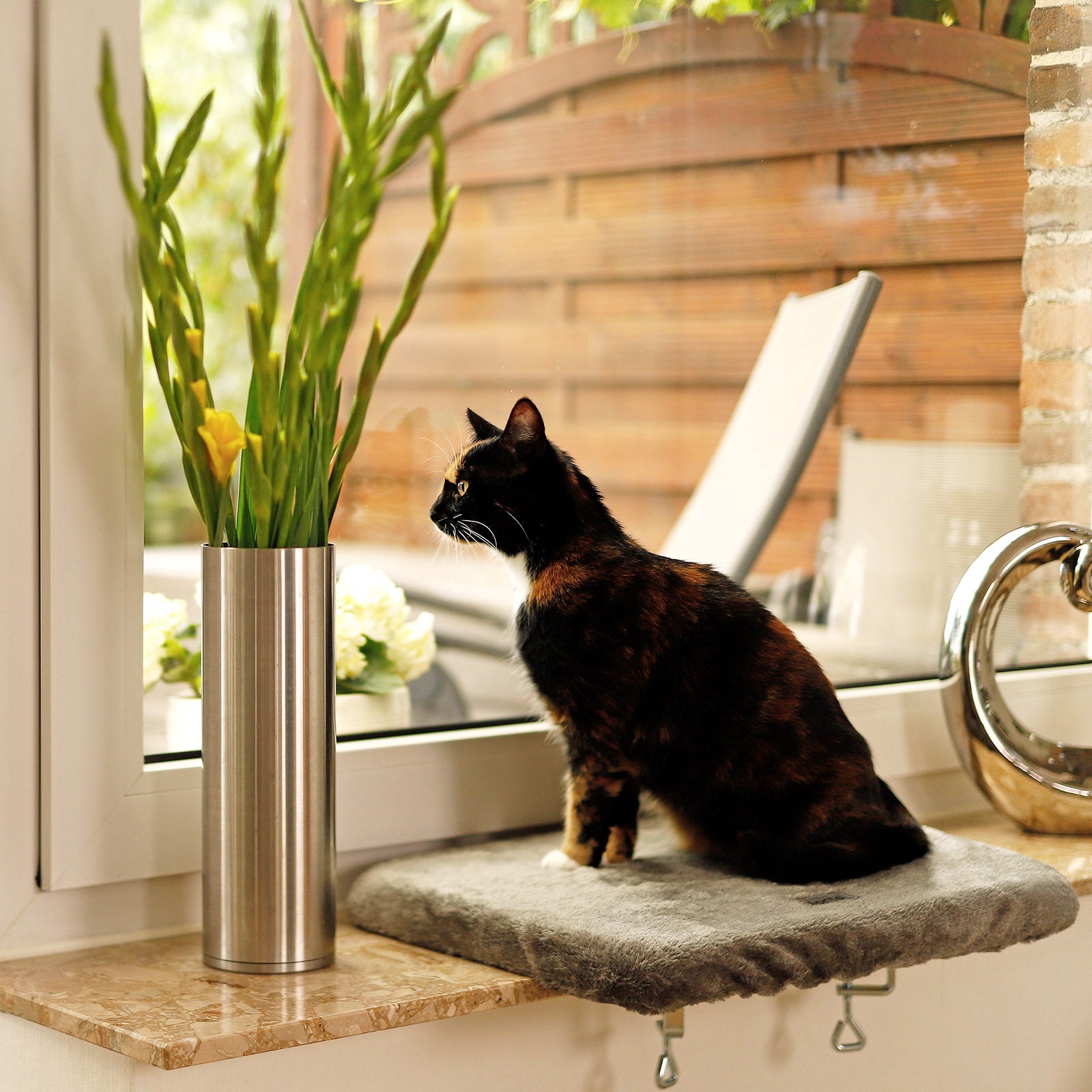 lionto Planche de repos pour rebord fenêtre couchette fenêtre chats couleurs diverses