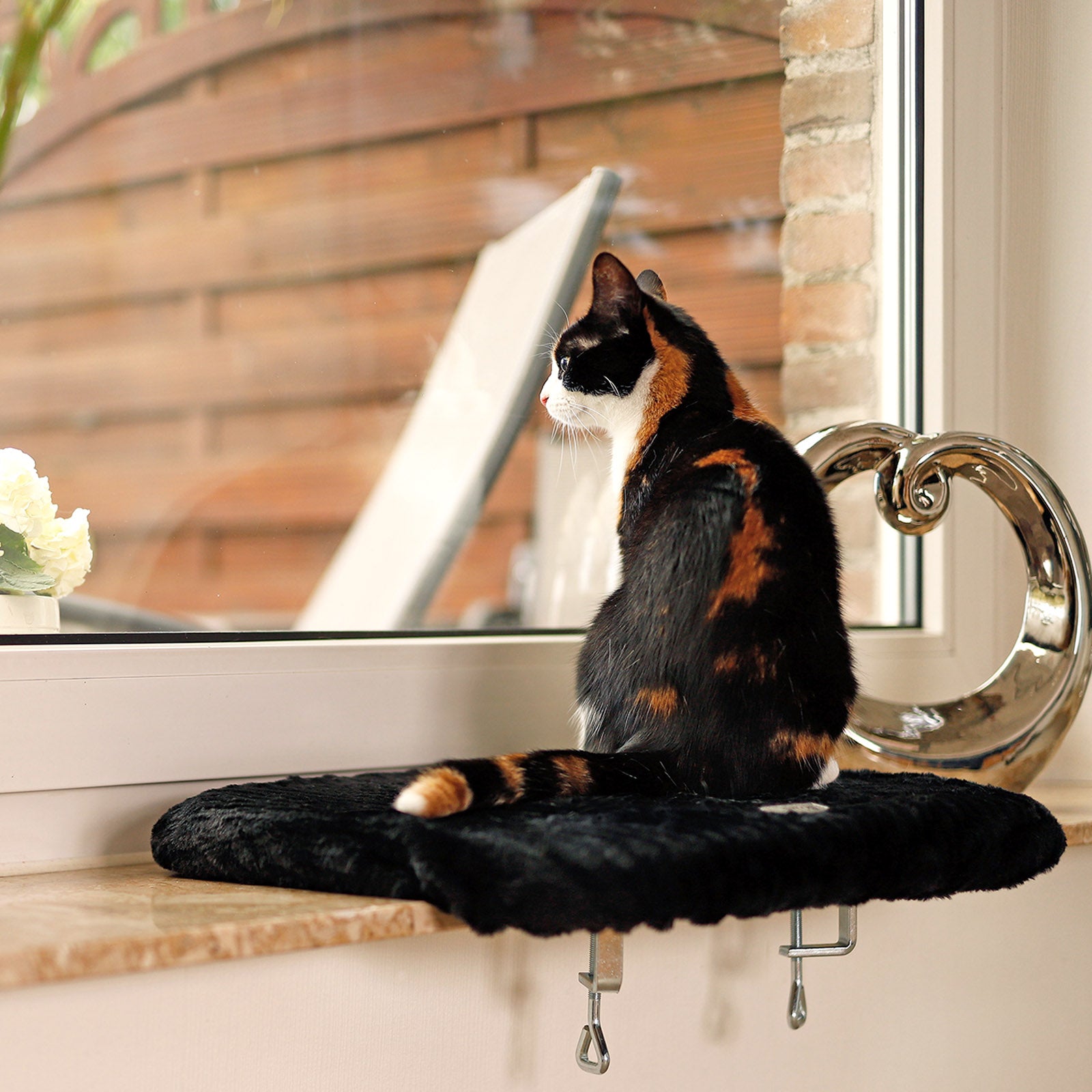 lionto Planche de repos pour rebord fenêtre couchette fenêtre chats couleurs diverses