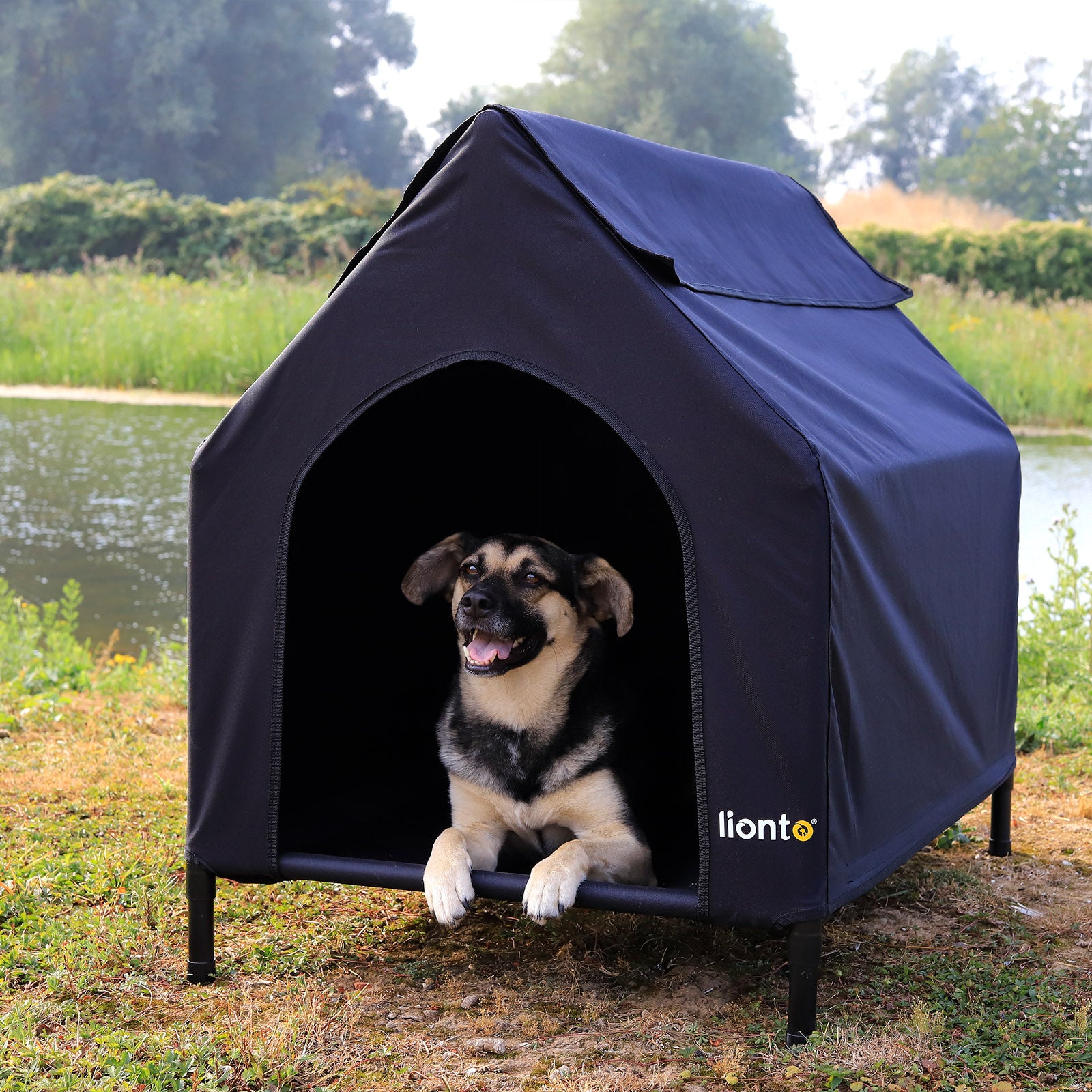 Lit couvert chien niche surélevée lit chien avec toit noir plusieurs tailles