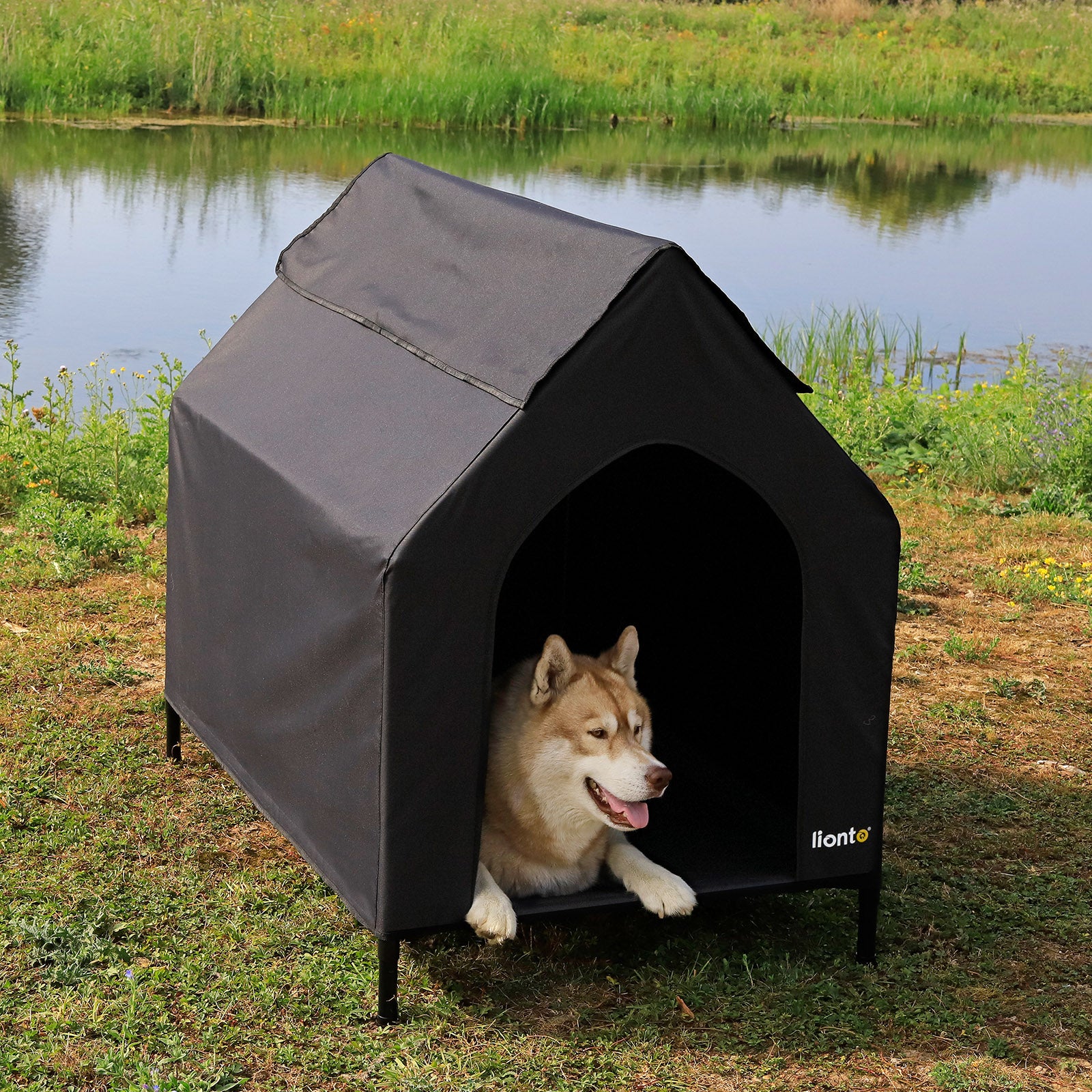 Lit couvert chien niche surélevée lit chien avec toit noir plusieurs tailles