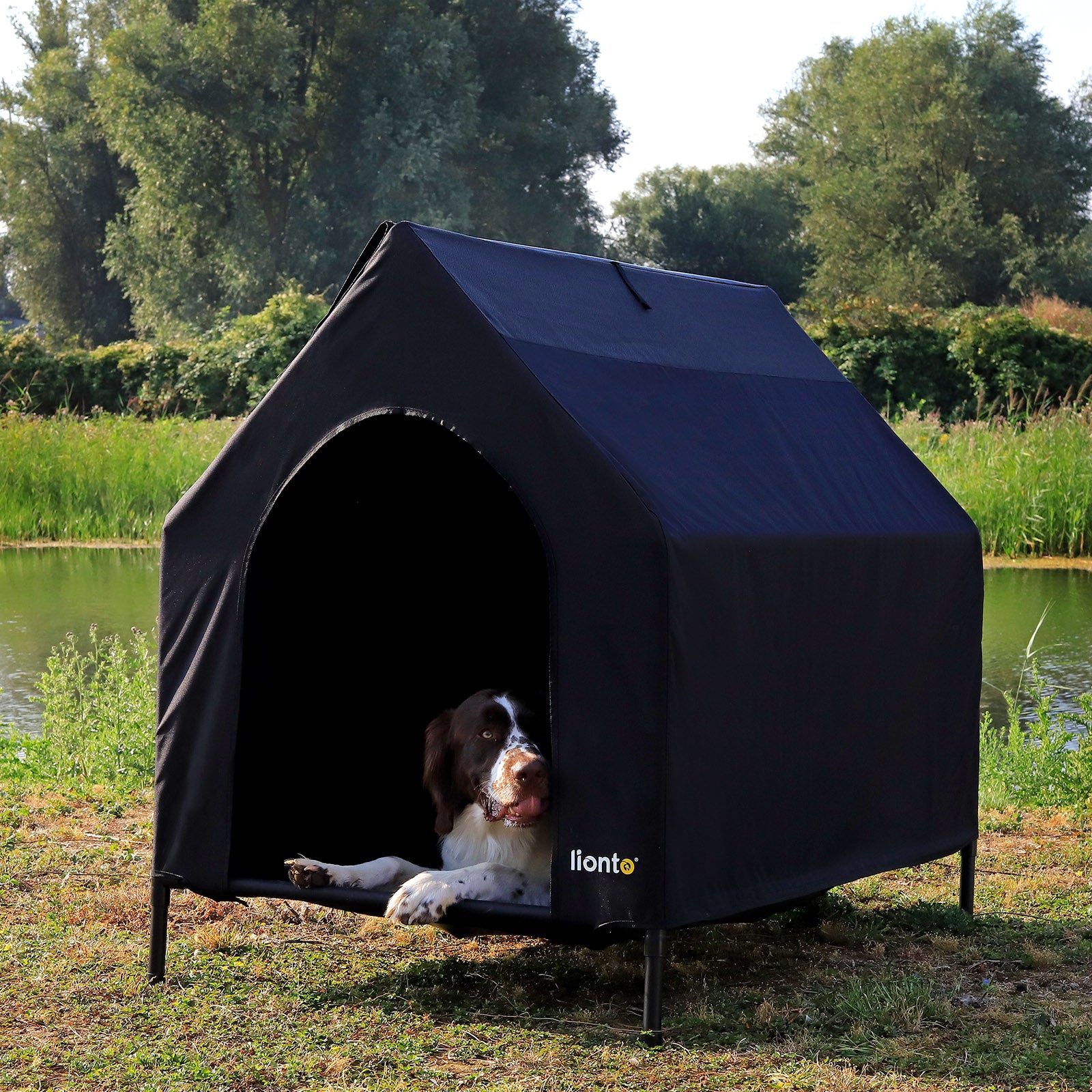 Lit couvert chien niche surélevée lit chien avec toit noir plusieurs tailles