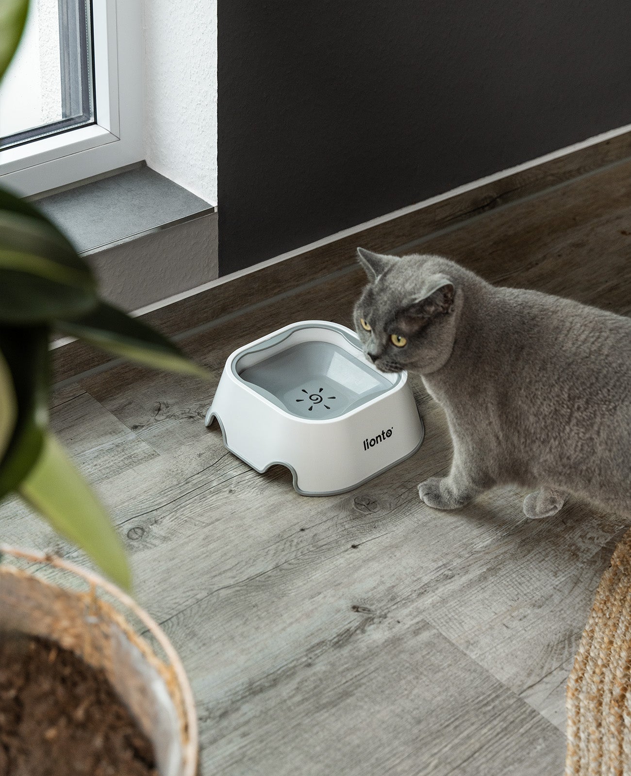 lionto Gamelle à eau pour chien et chats Gamelle anti-salissure, étanche,1 litre