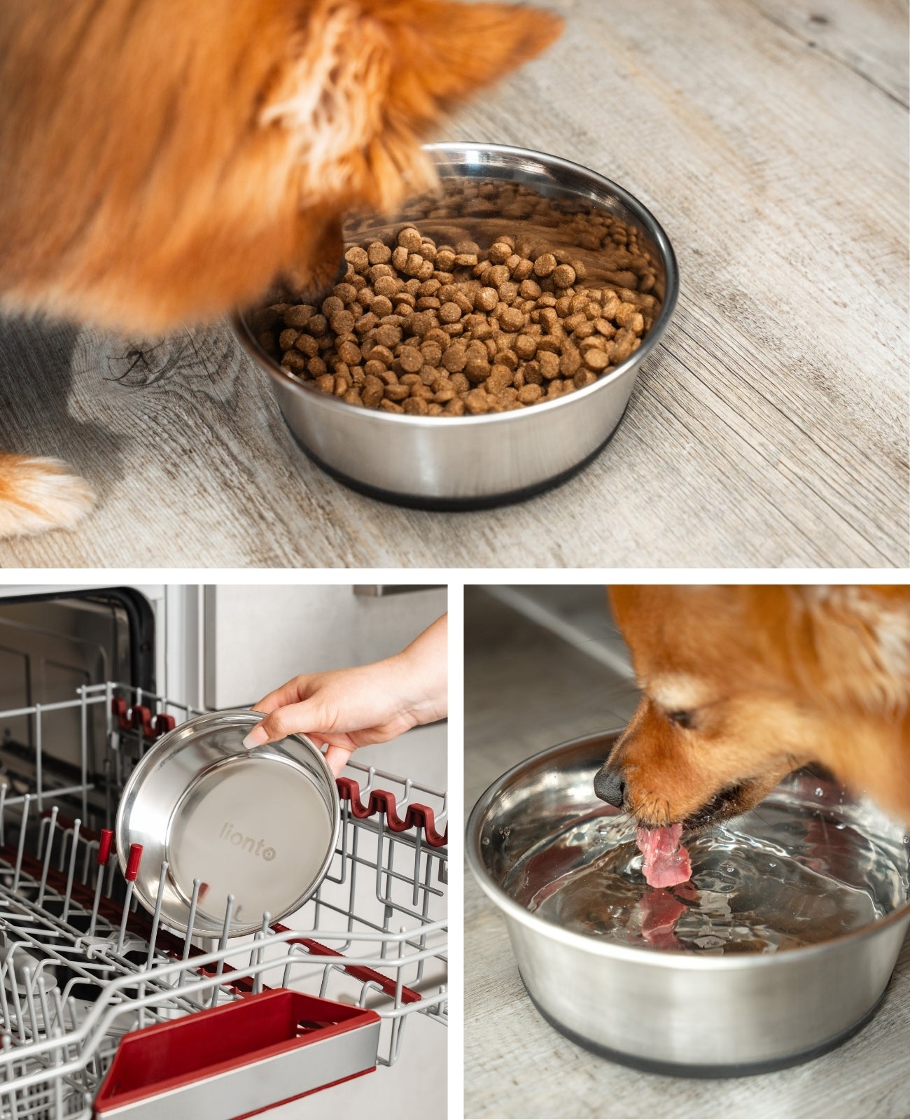 lionto Gamelle en inox, antidérapante, Bol à eau pour chien & chat