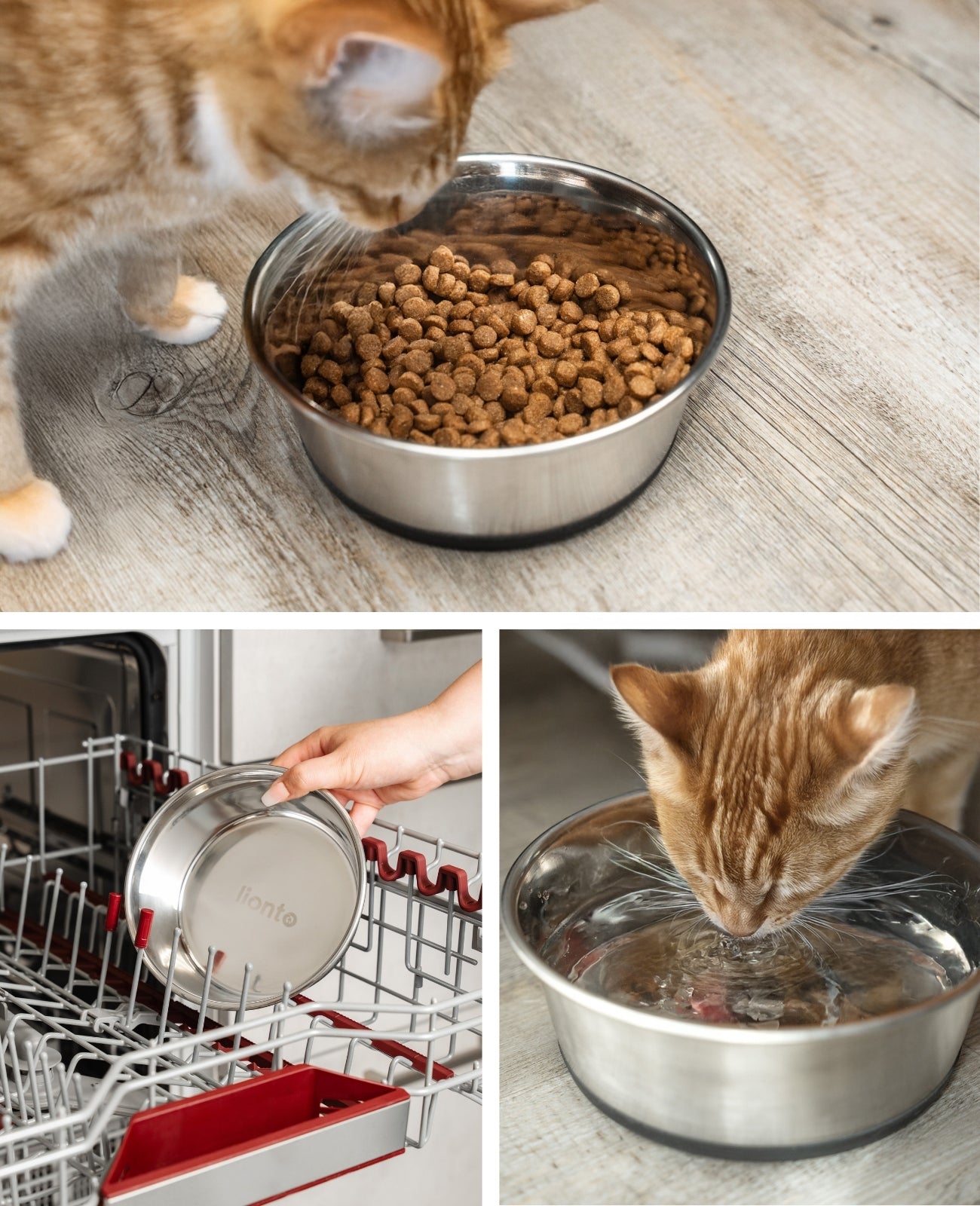 Gamelle pour chat en acier inoxydable, antidérapante