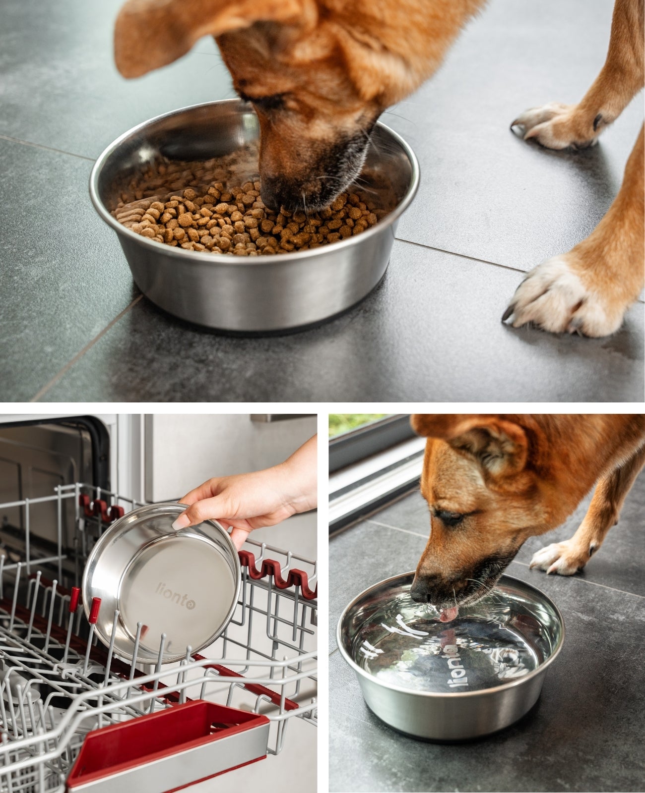 lionto Gamelle en inox, antidérapante, Bol à eau pour chien & chat