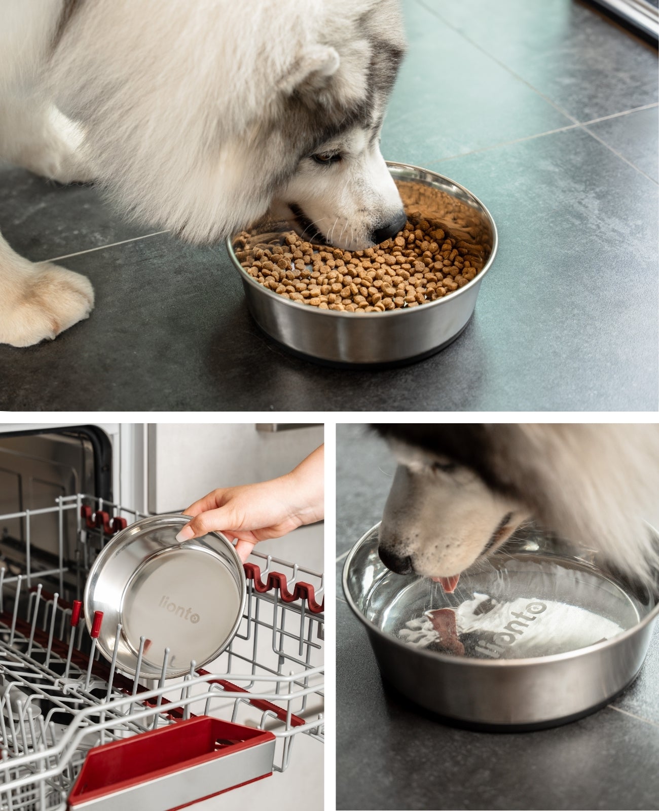 lionto Gamelle en inox, antidérapante, Bol à eau pour chien & chat