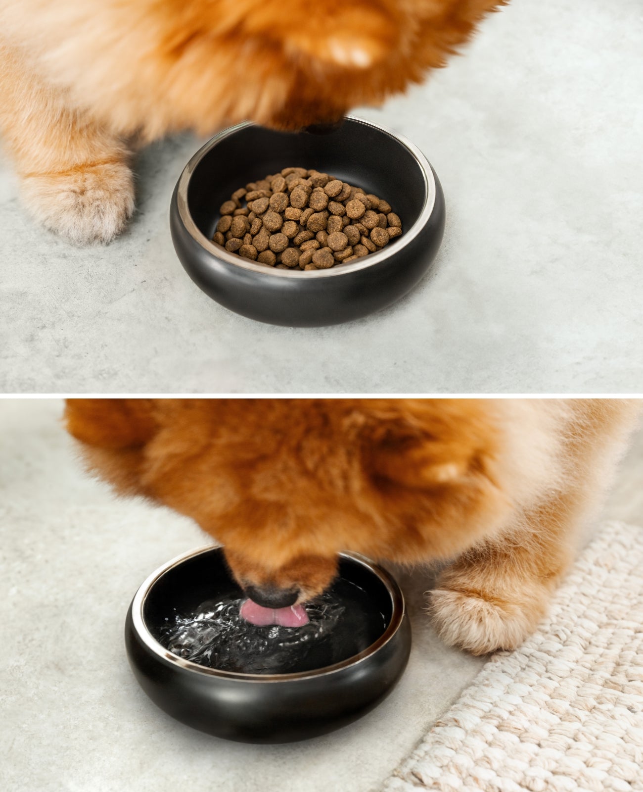 lionto Gamelle pour chien en acier inox, courbée, antidérapante, noir