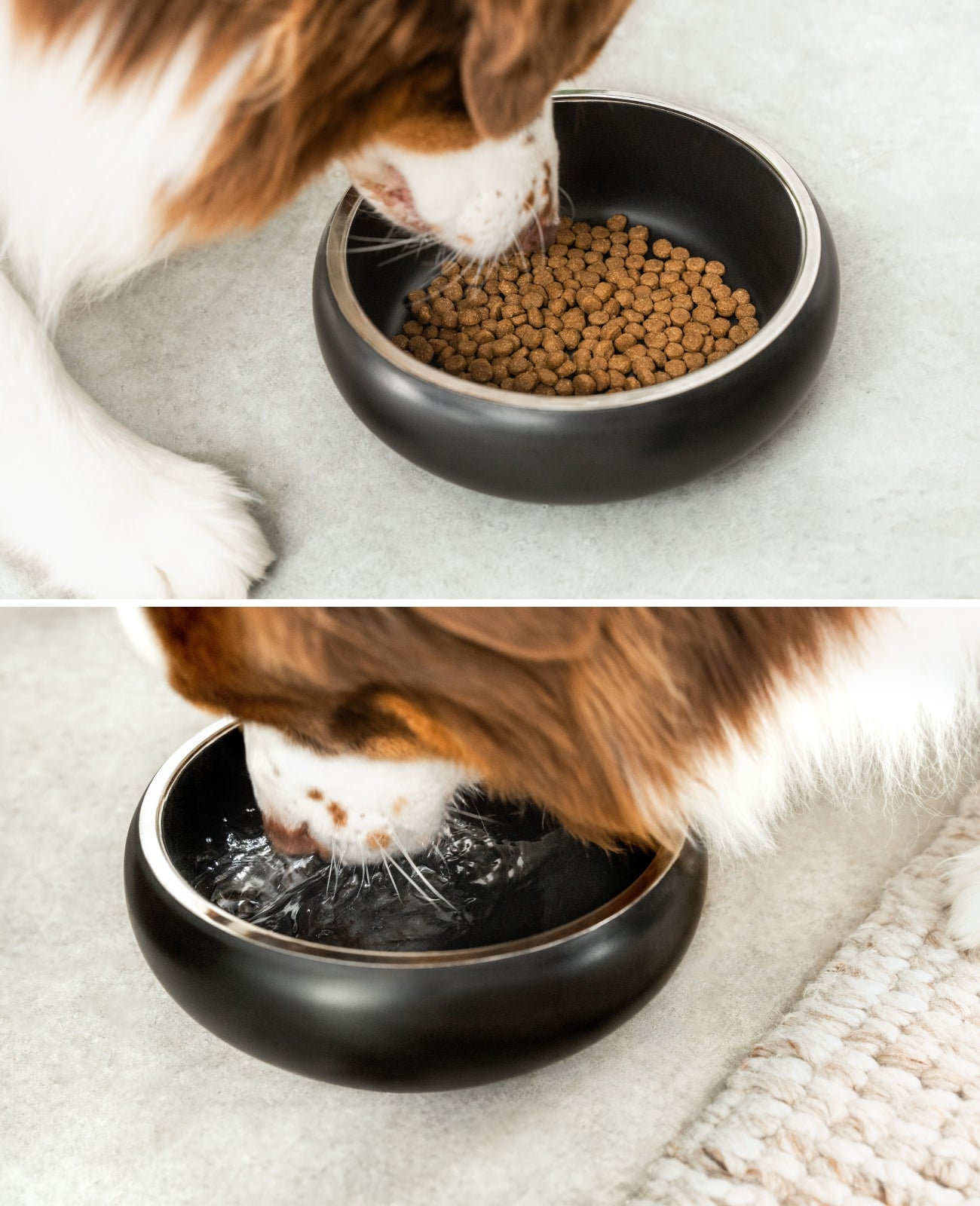 lionto Gamelle pour chien en acier inox, courbée, antidérapante, noir