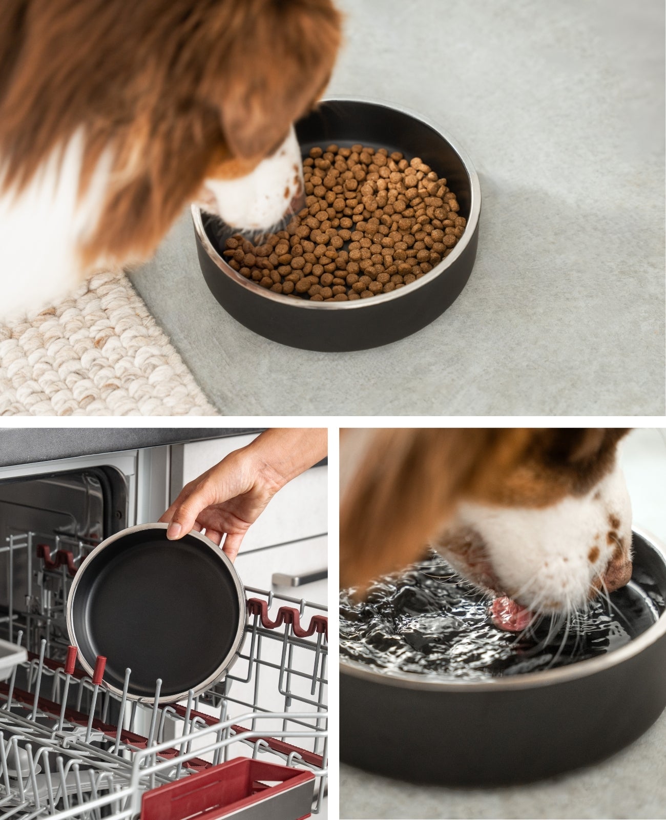 lionto Gamelle pour chien en acier inox, antidérapante & inoxydable, noir