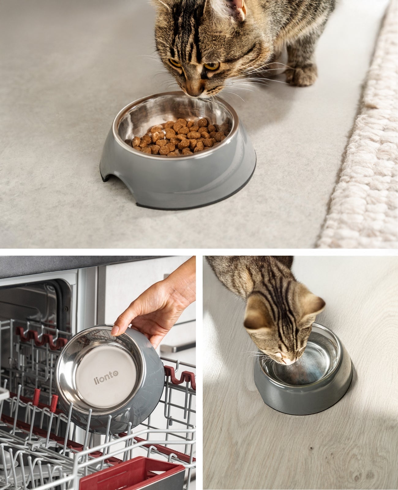 Gamelle pour chat en mélamine