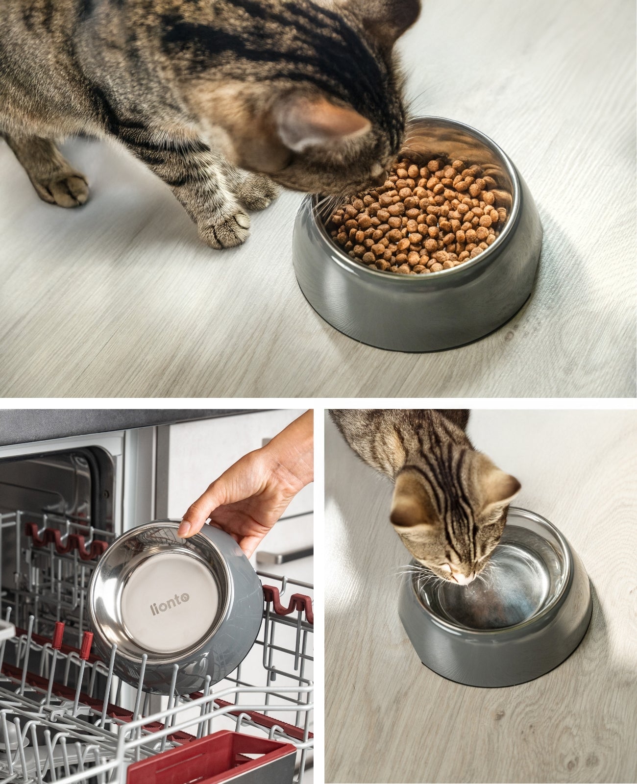 Gamelle pour chat en mélamine
