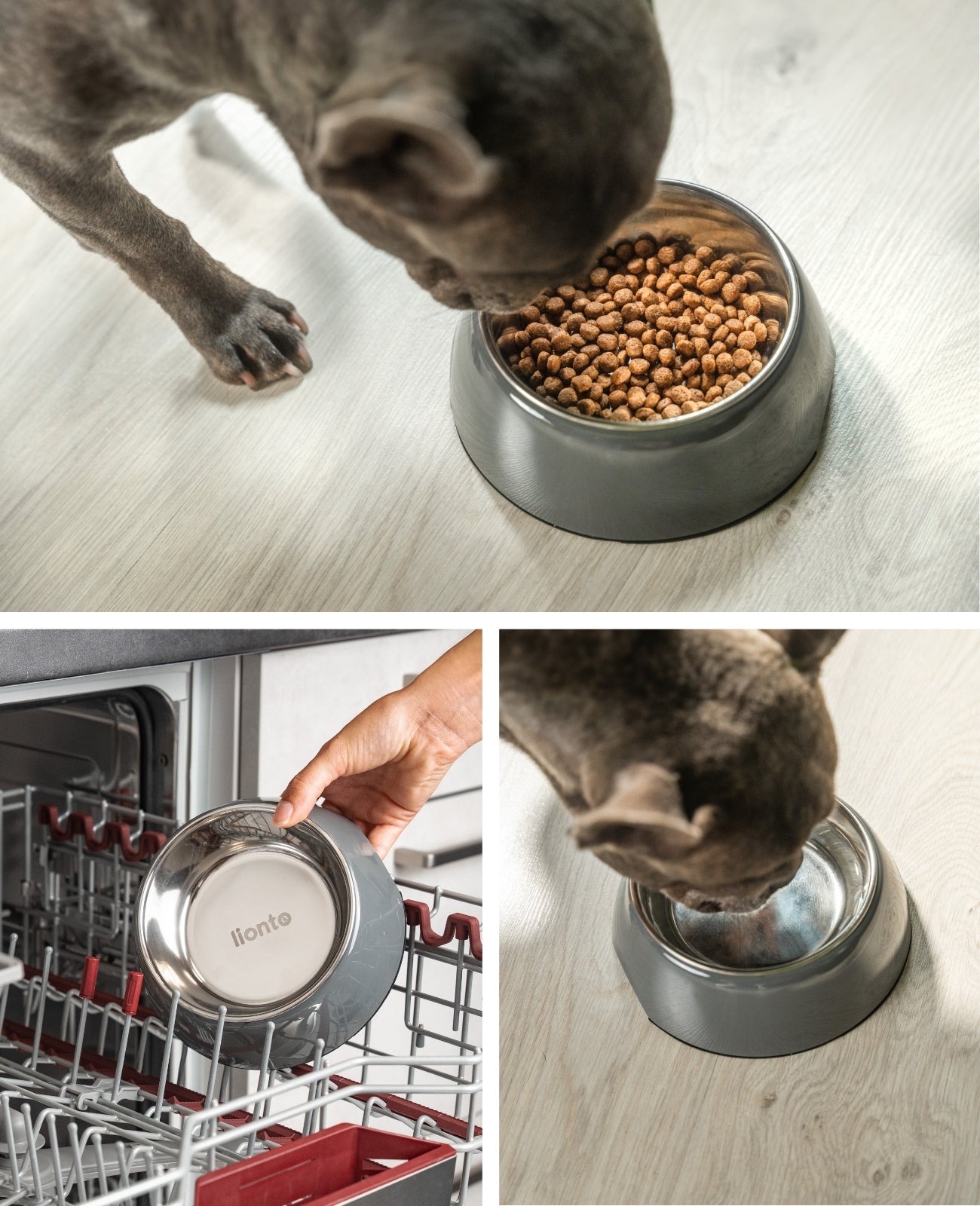 lionto Gamelle en mélamine, antidérapant, pour chien et chat, multiples versions